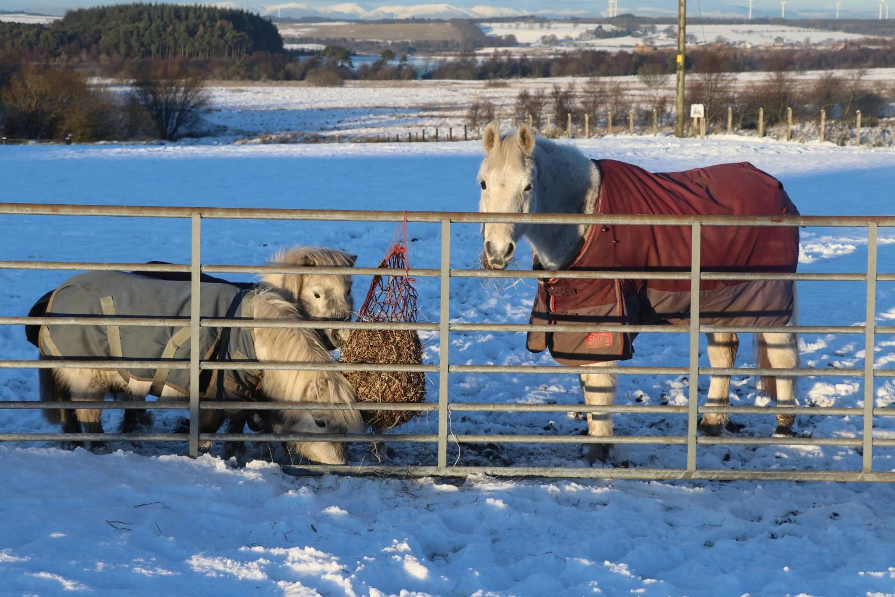 Property building in Blairmains Guest House