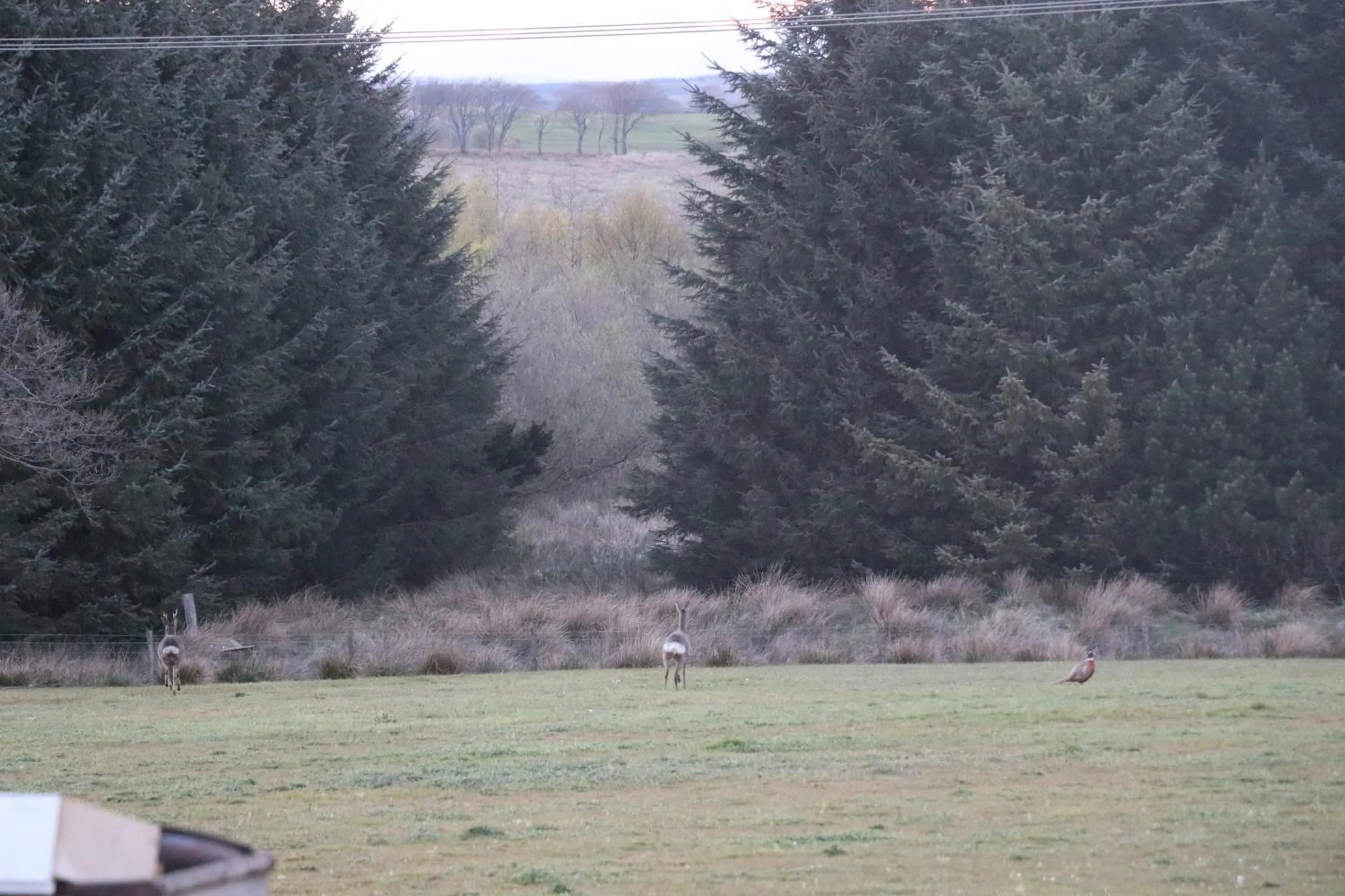 Property building in Blairmains Guest House