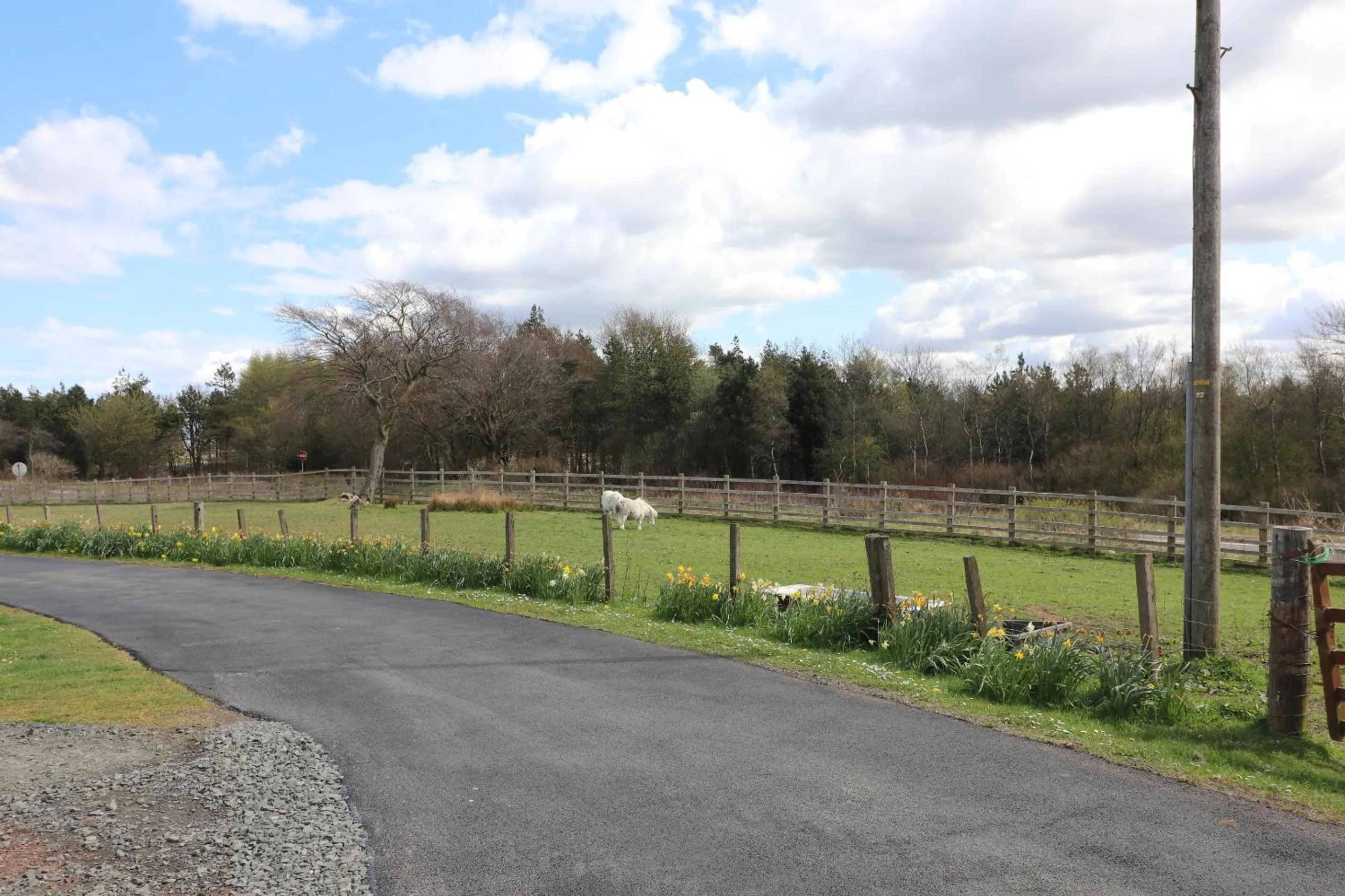 Other in Blairmains Guest House