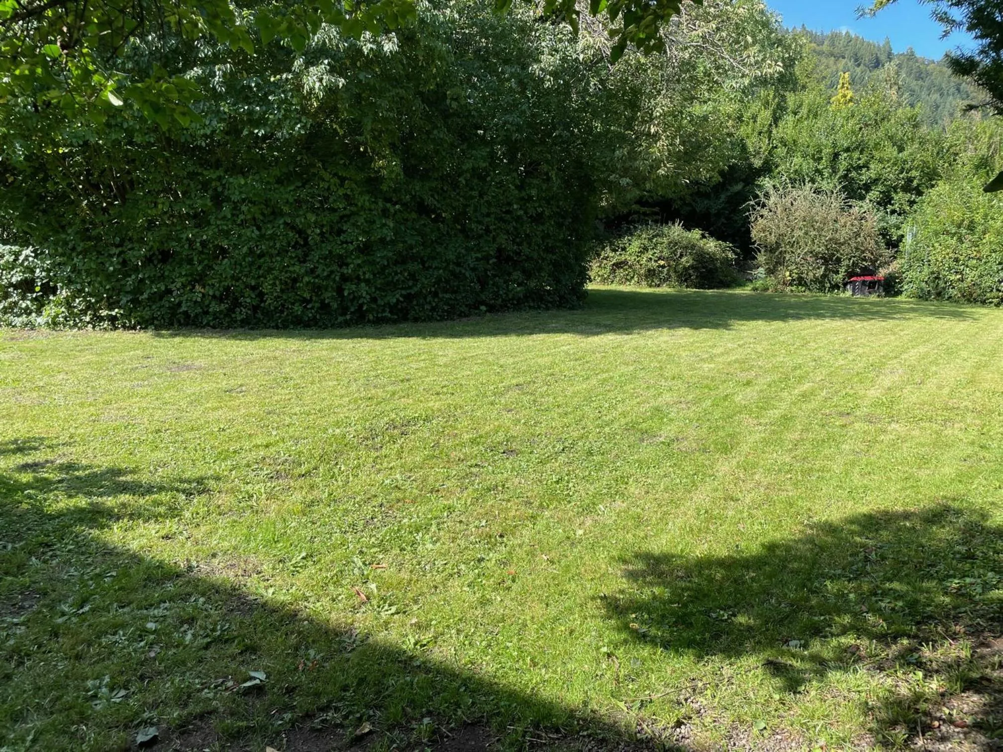 Garden in Hotel Restaurant Adler Stube