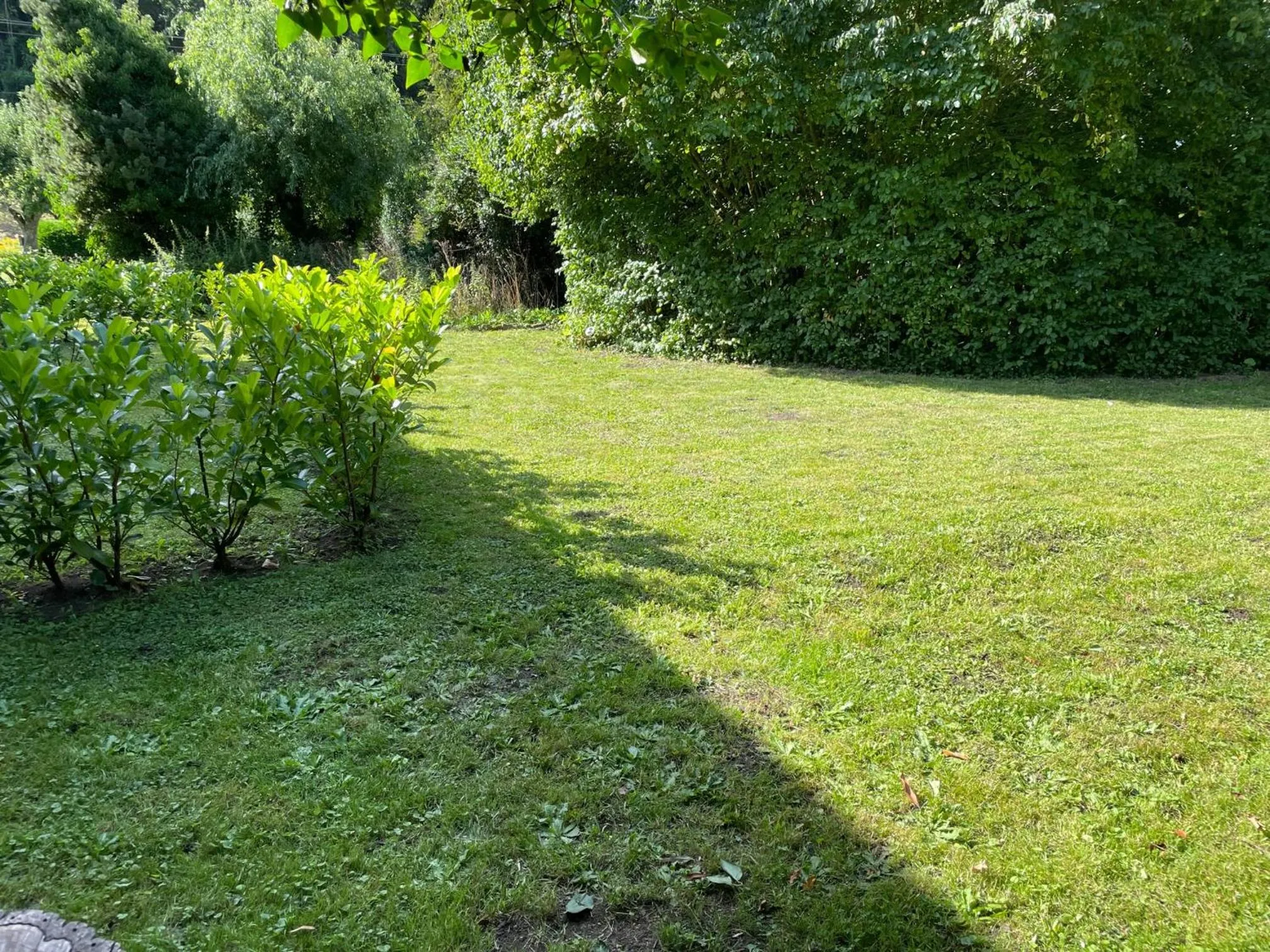 Garden in Hotel Restaurant Adler Stube