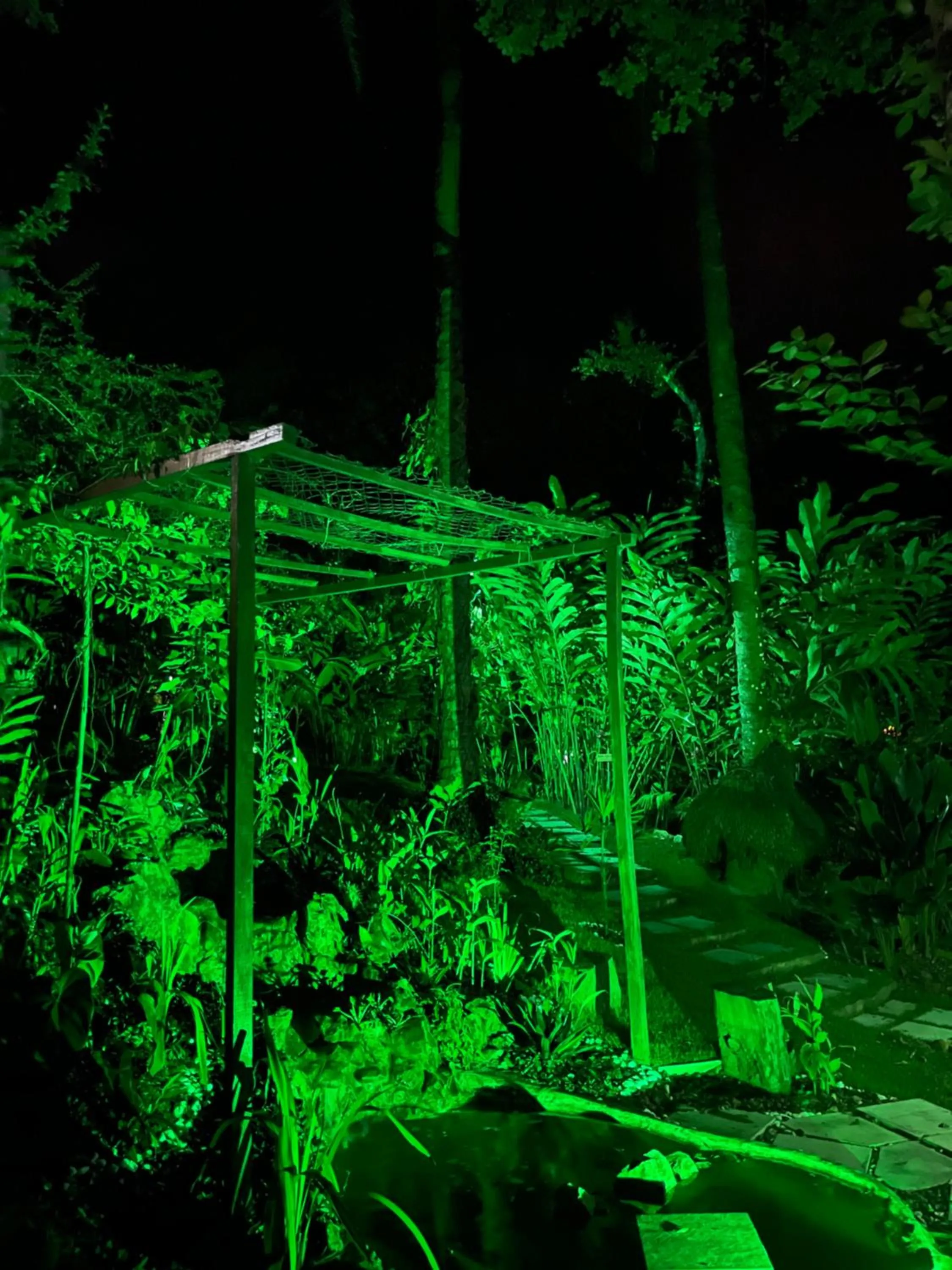 Evening entertainment in Pousada Horizonte Azul