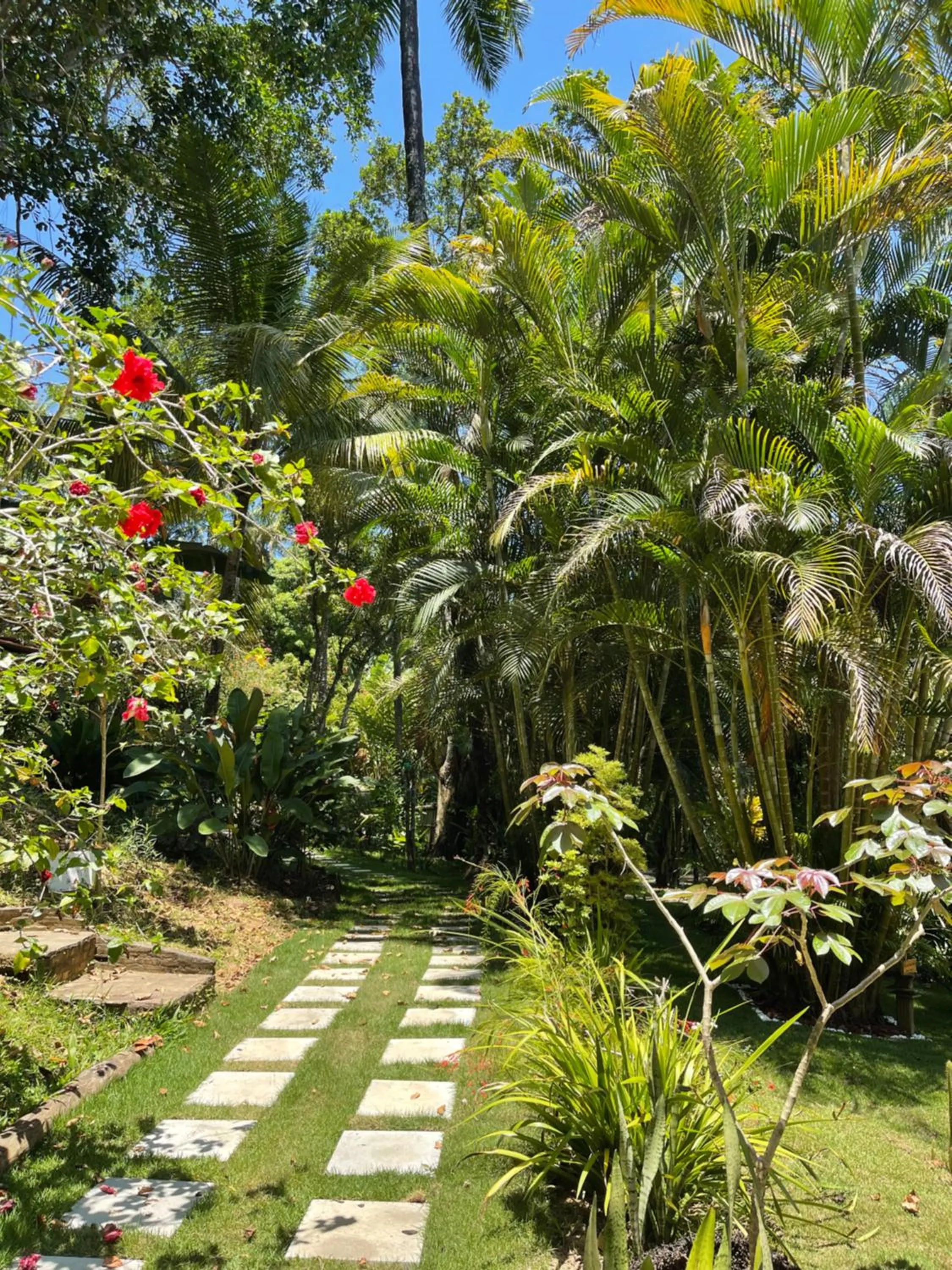 Garden in Pousada Horizonte Azul