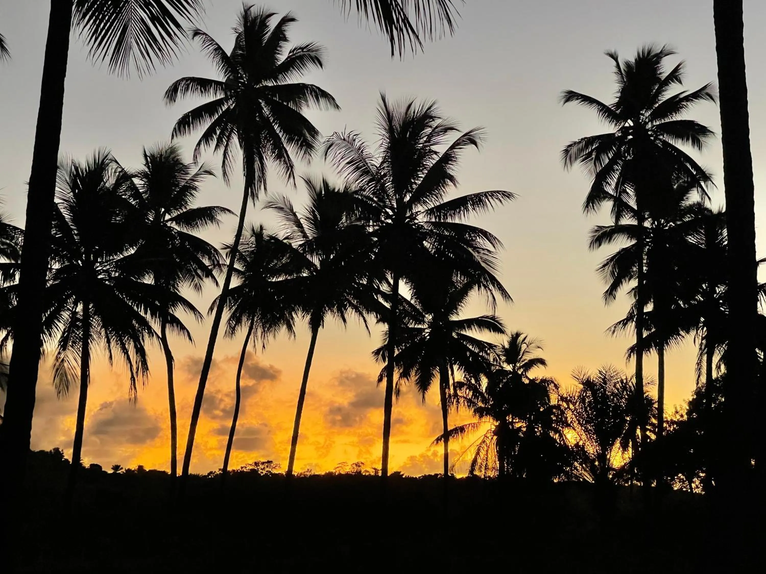 Natural landscape in Pousada Horizonte Azul