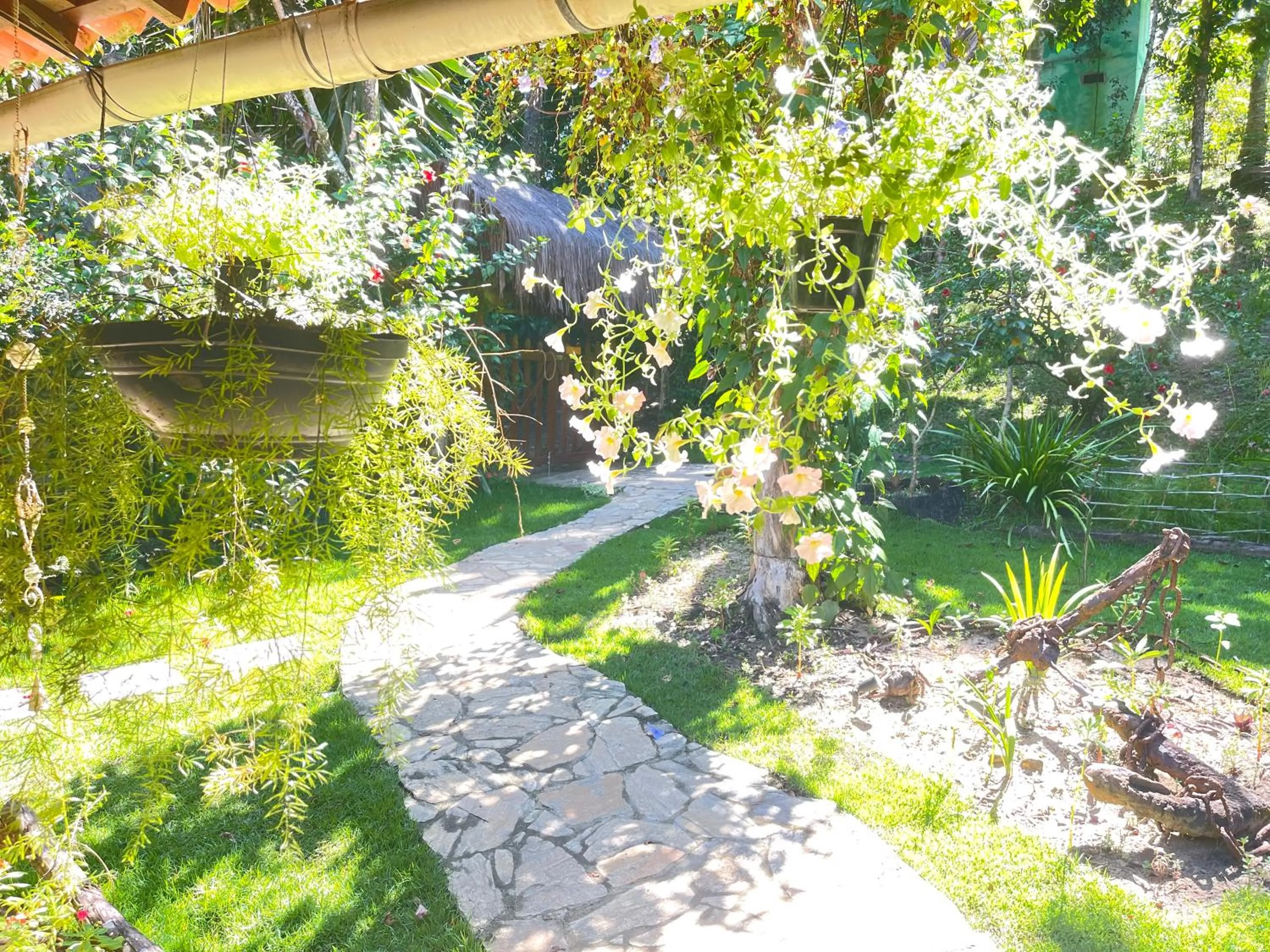 Garden in Pousada Horizonte Azul