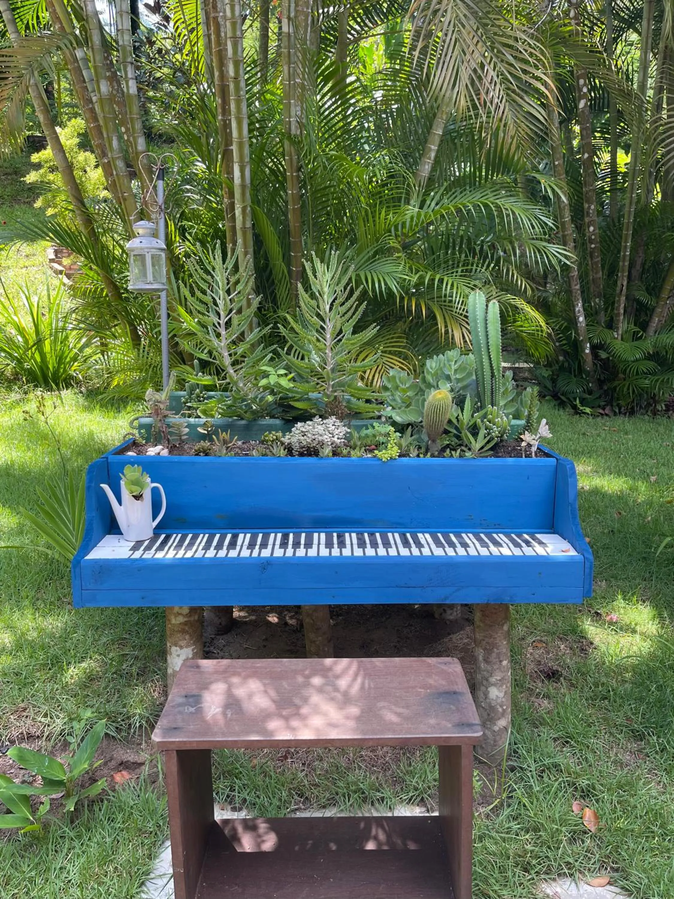 Garden in Pousada Horizonte Azul