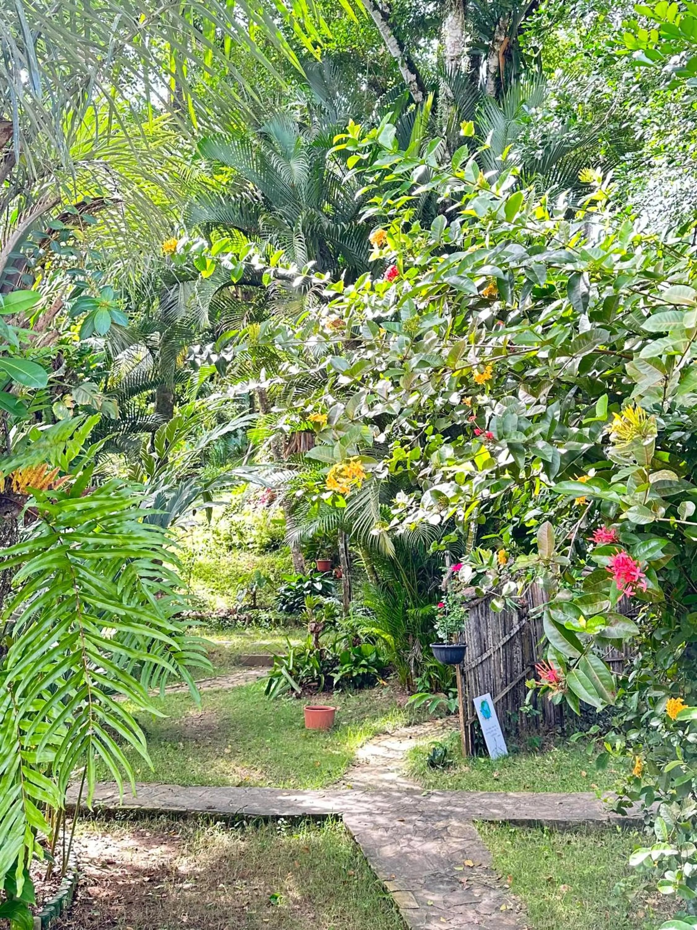 Garden in Pousada Horizonte Azul