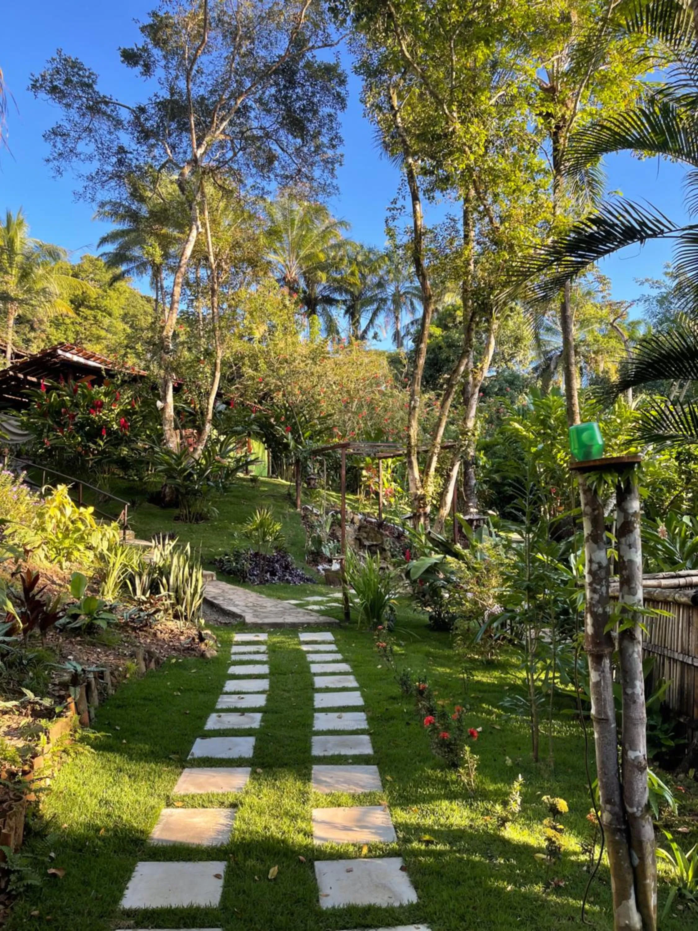 Garden in Pousada Horizonte Azul