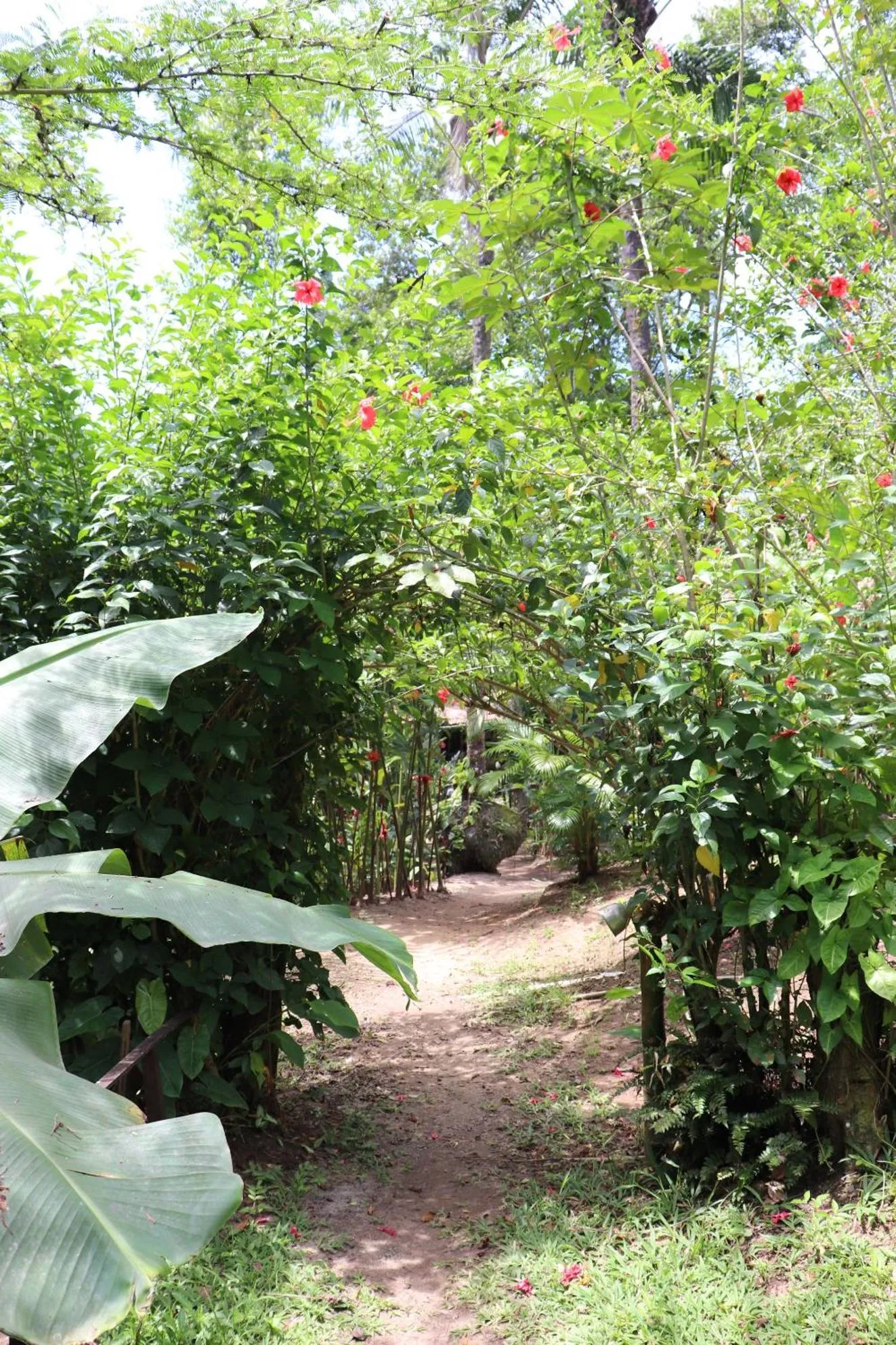 Natural landscape in Pousada Horizonte Azul