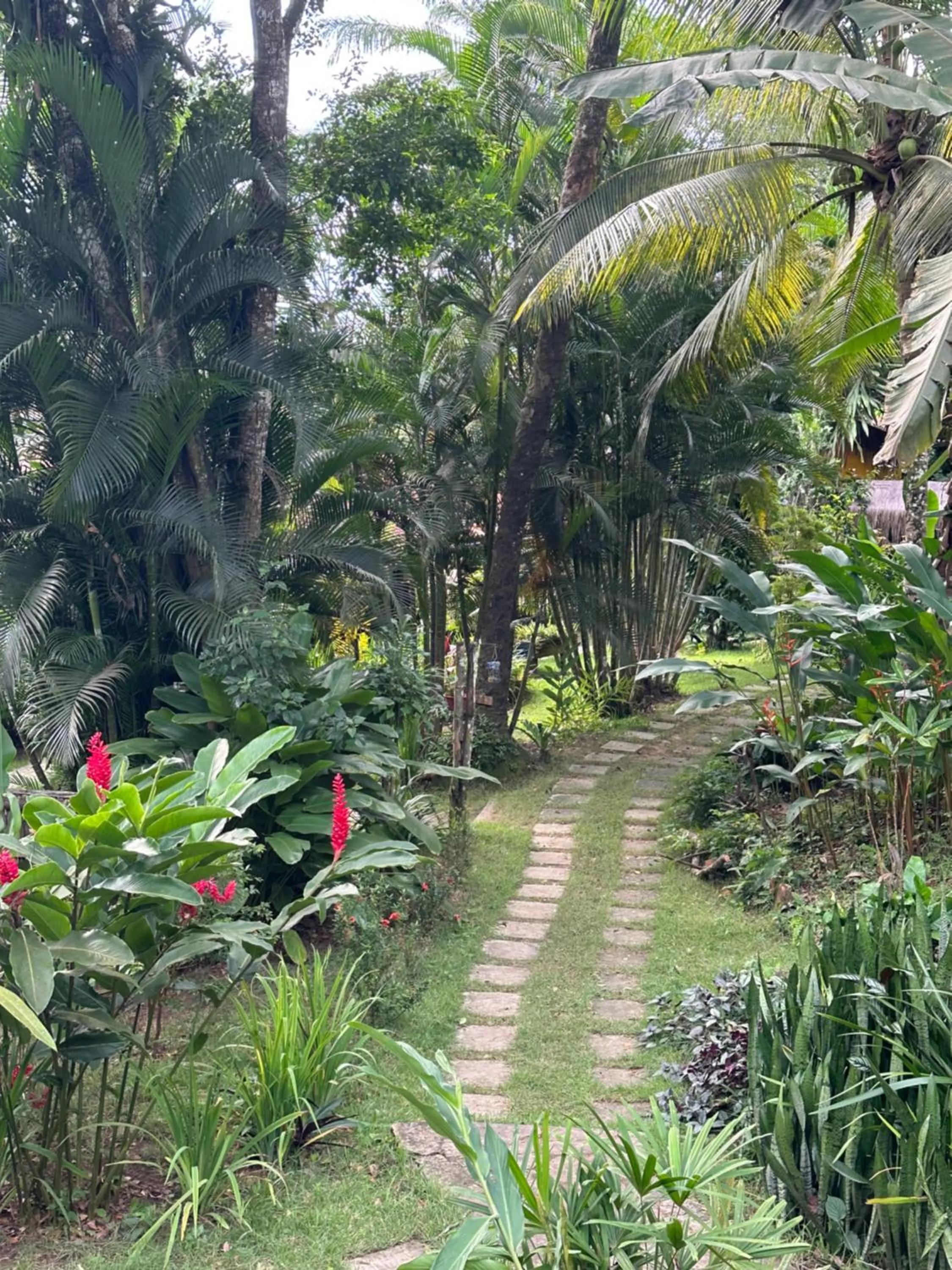 Natural landscape in Pousada Horizonte Azul