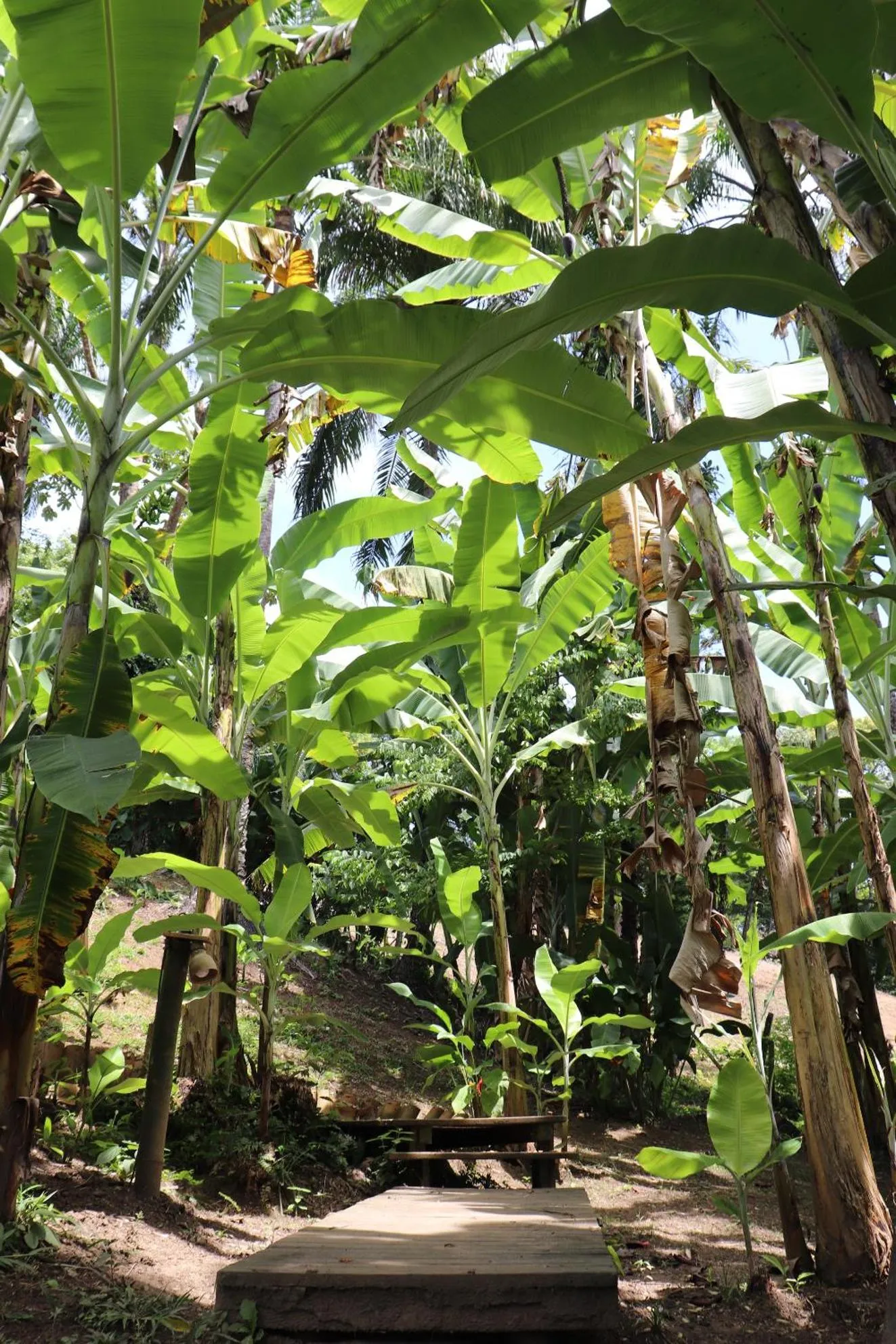 Natural landscape in Pousada Horizonte Azul