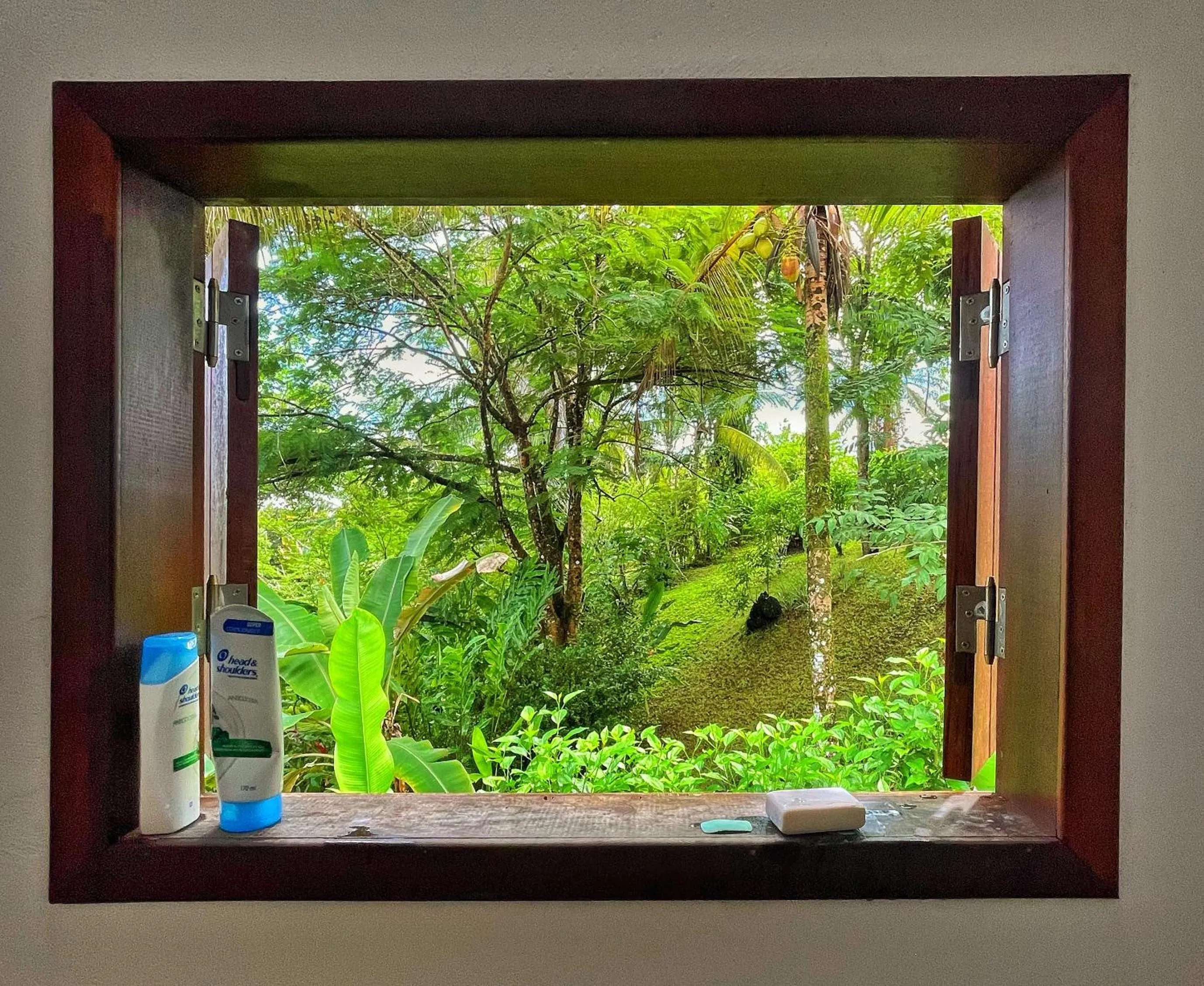 Garden view in Pousada Horizonte Azul