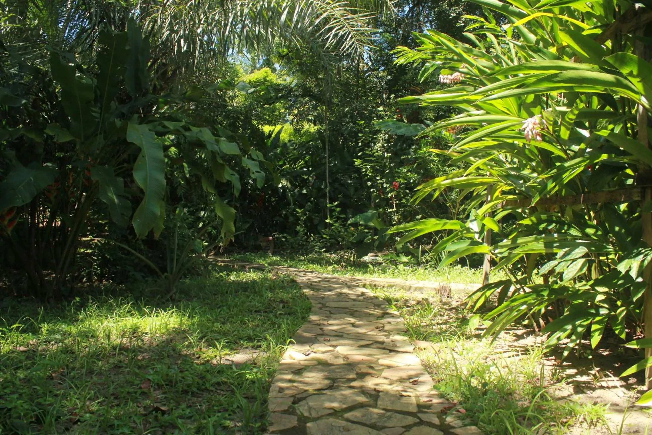 Garden in Pousada Horizonte Azul