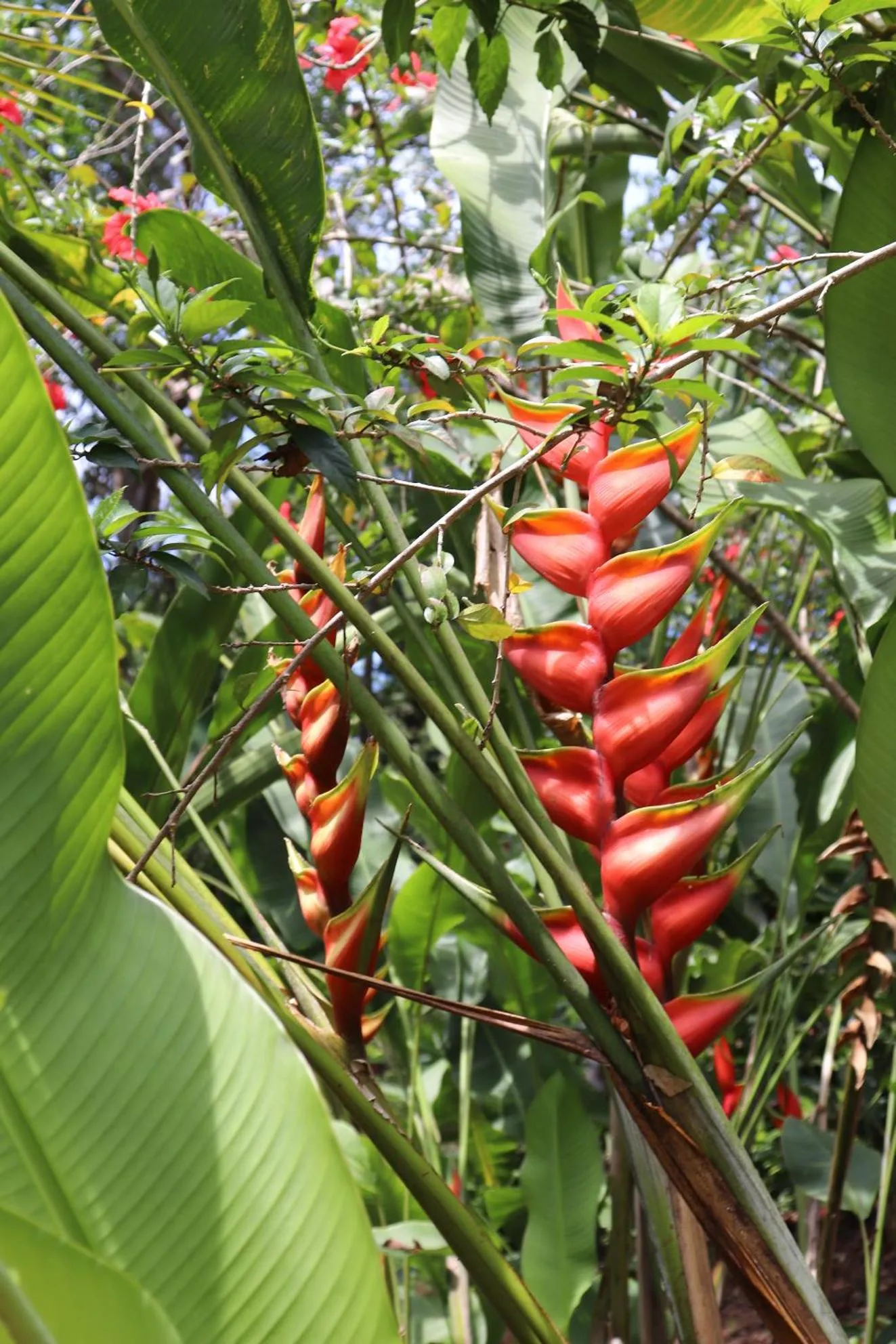 Natural landscape in Pousada Horizonte Azul