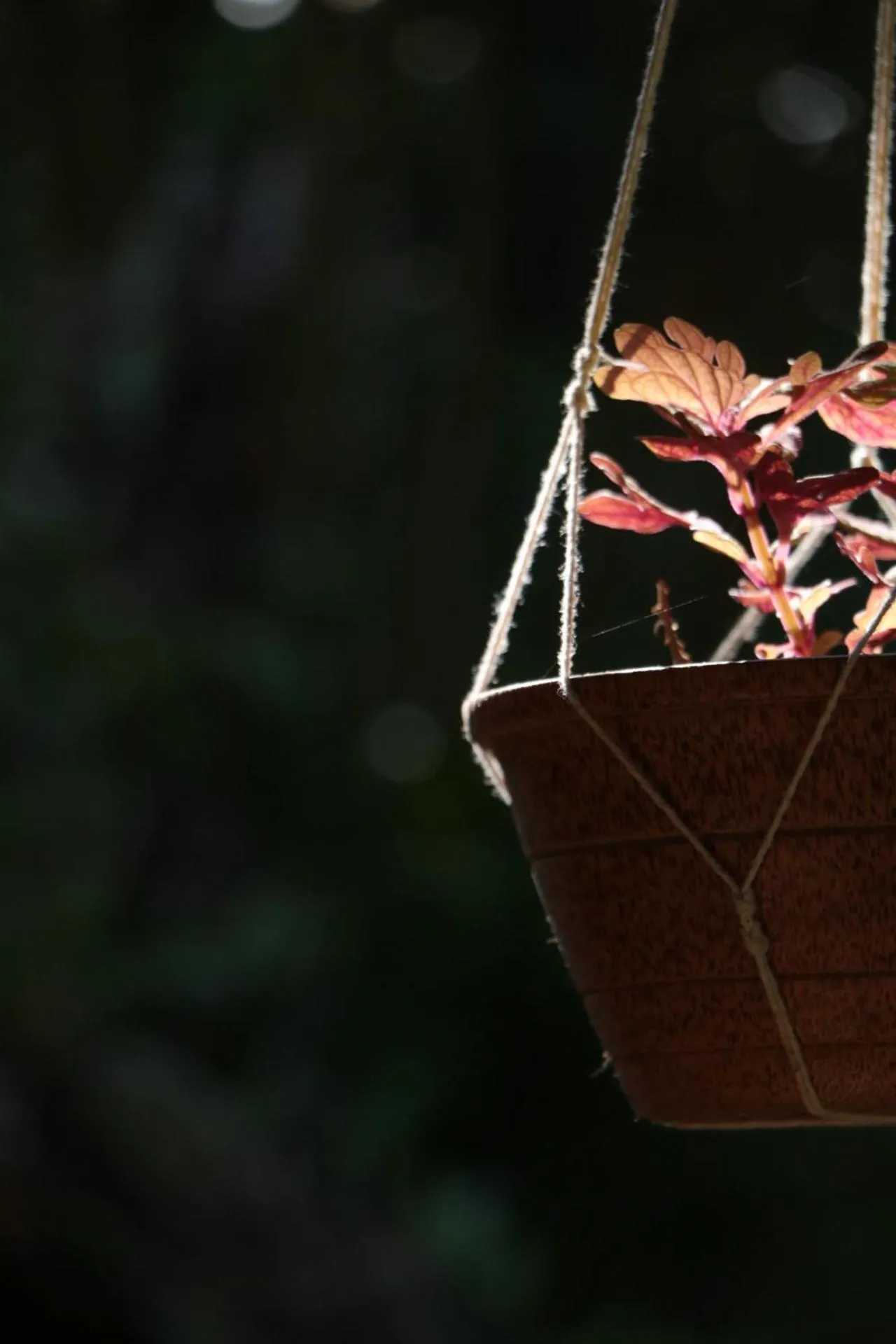 Decorative detail in Pousada Horizonte Azul