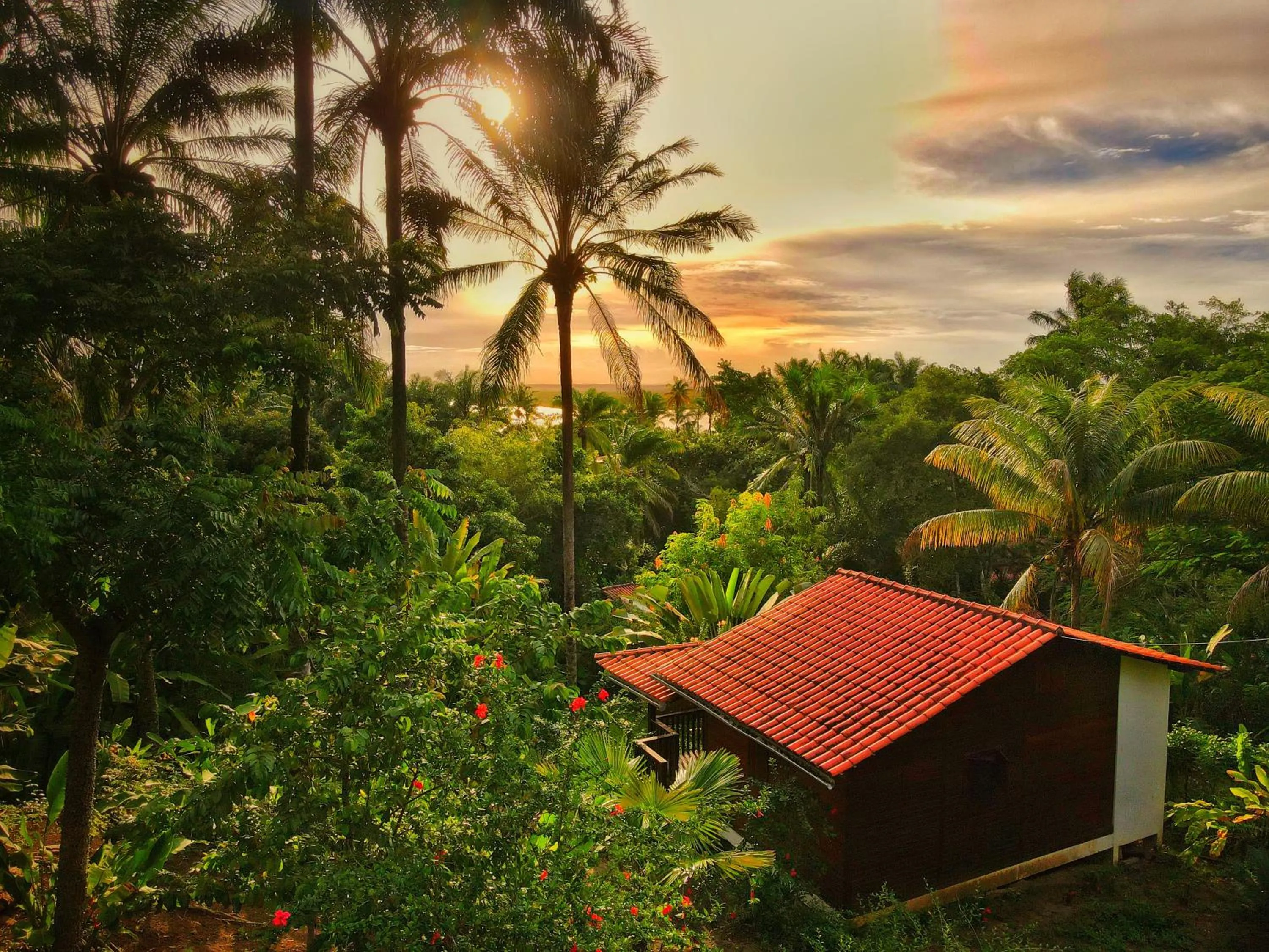 Bird's eye view in Pousada Horizonte Azul