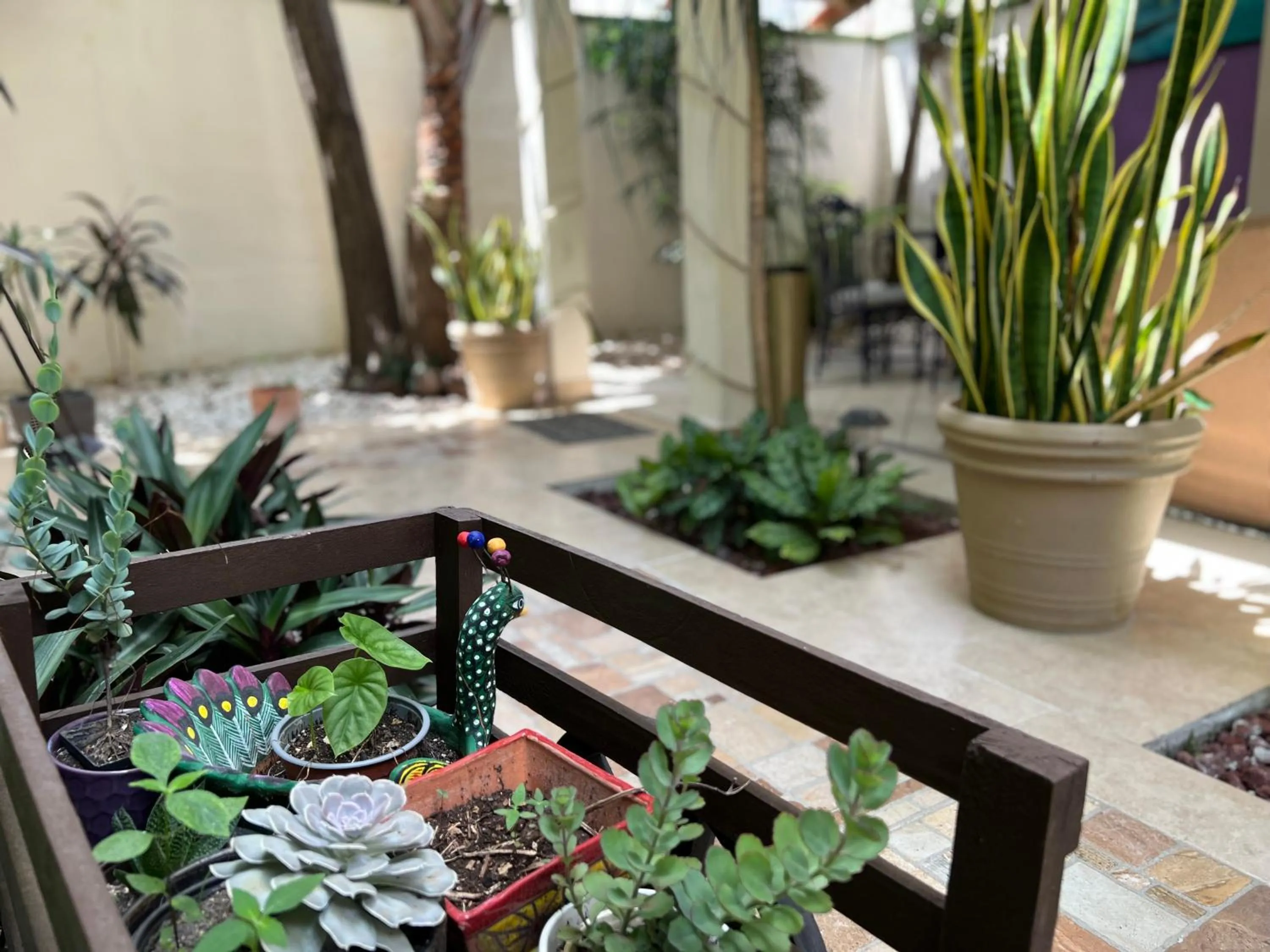 Garden in Hotel Balché