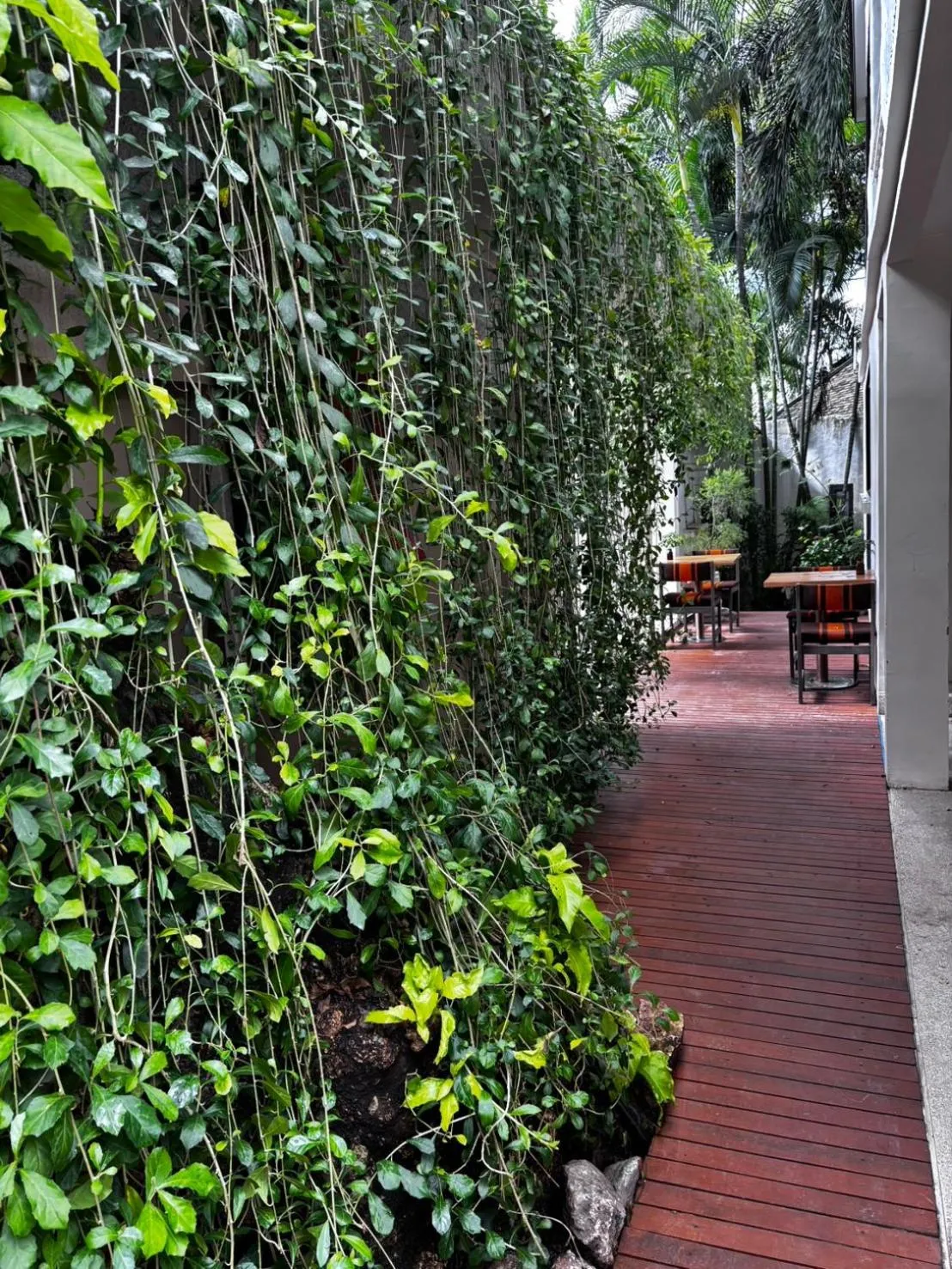 Restaurant/places to eat in Punnpreeda Beach Resort - SHA Plus Certified