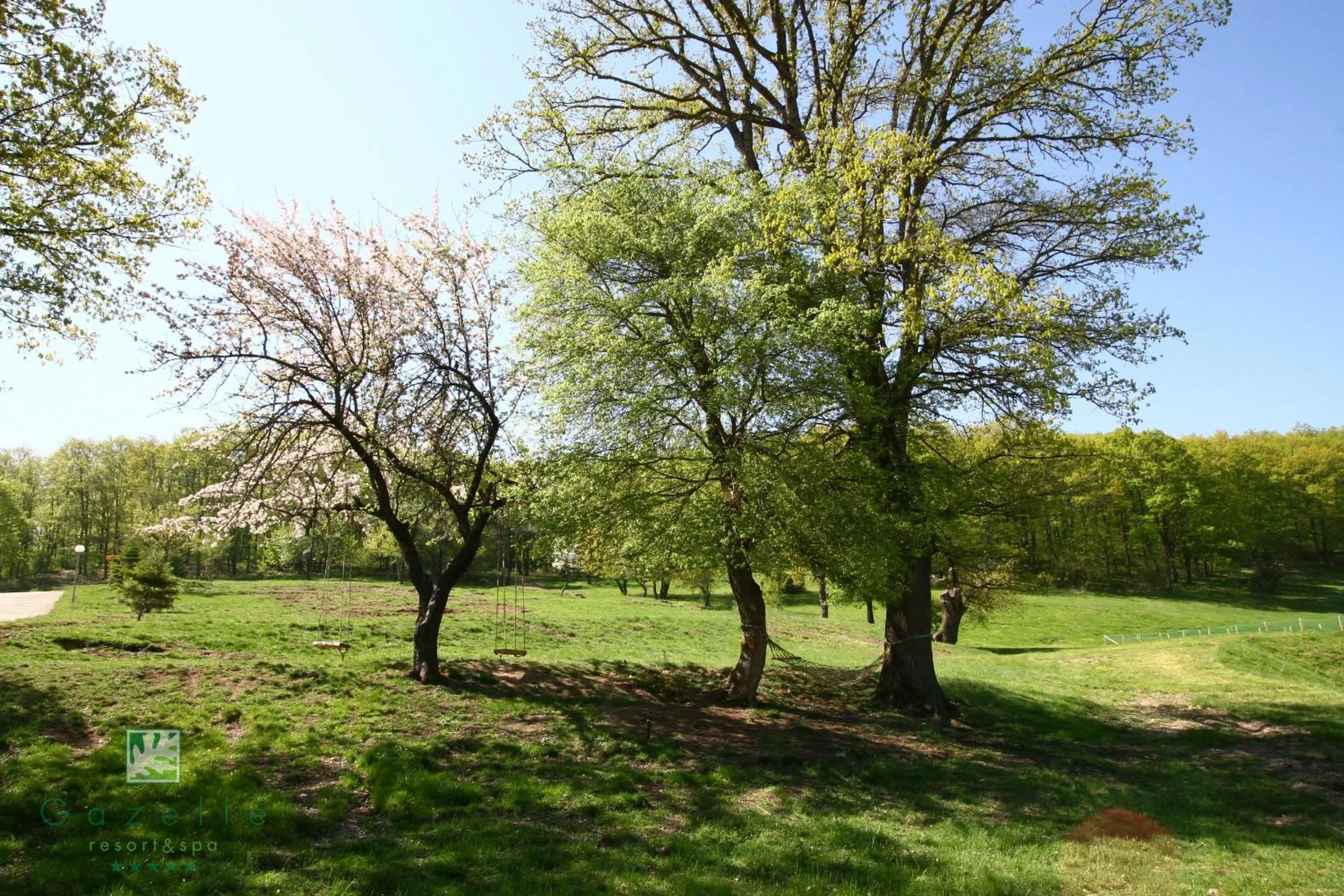 Day in Gazelle Resort & Spa