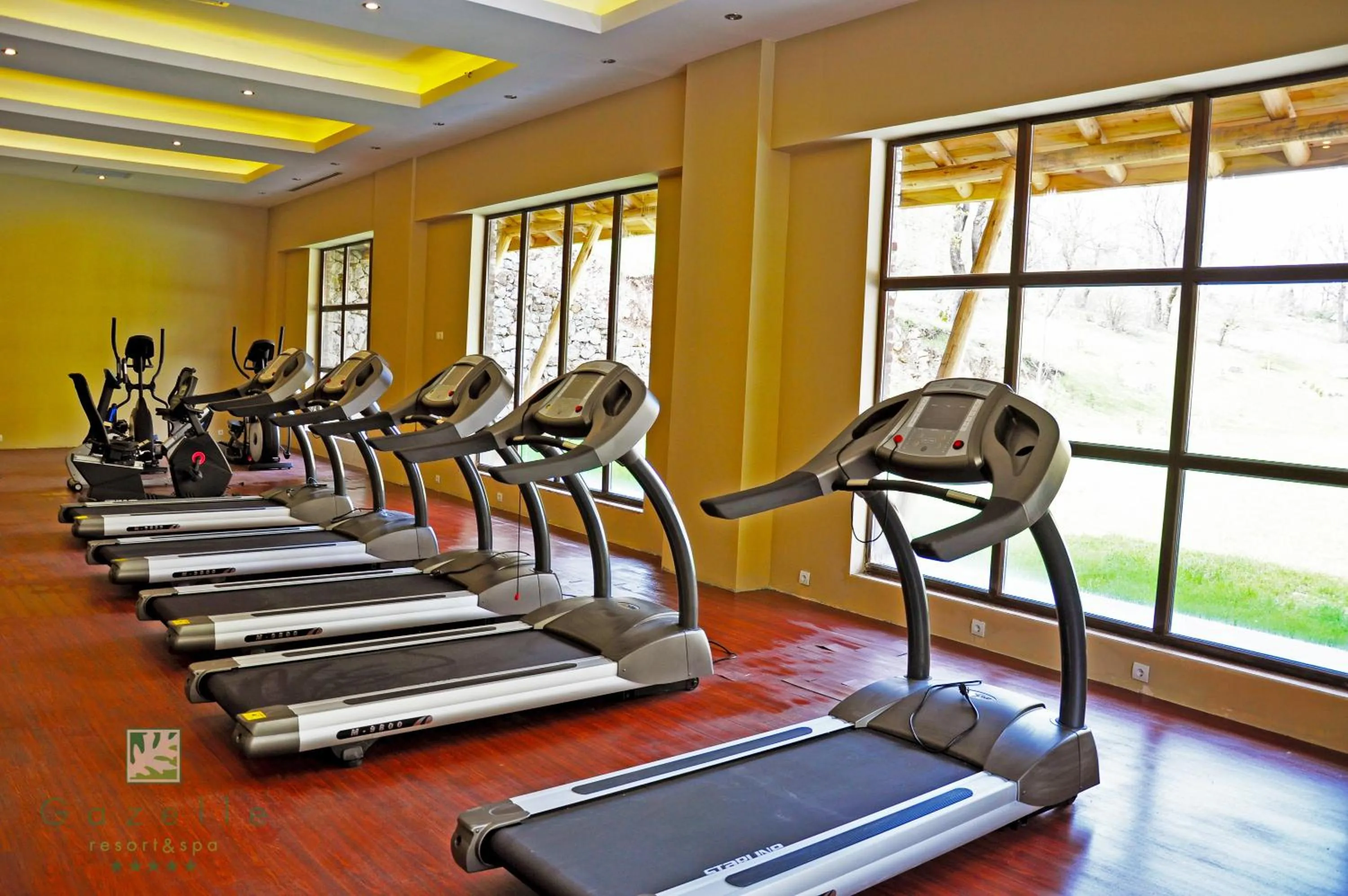 Day in Gazelle Resort & Spa