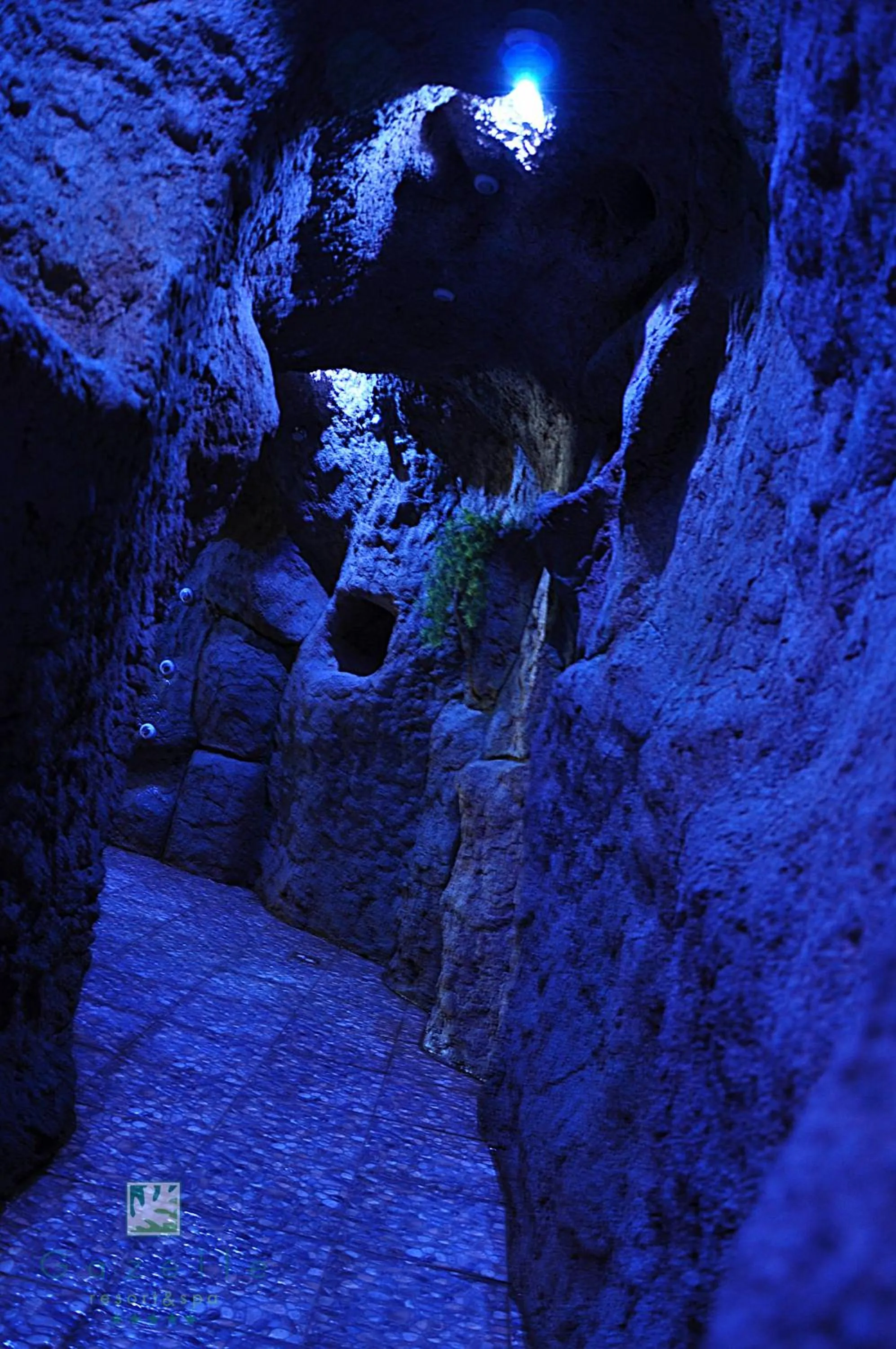 Other in Gazelle Resort & Spa