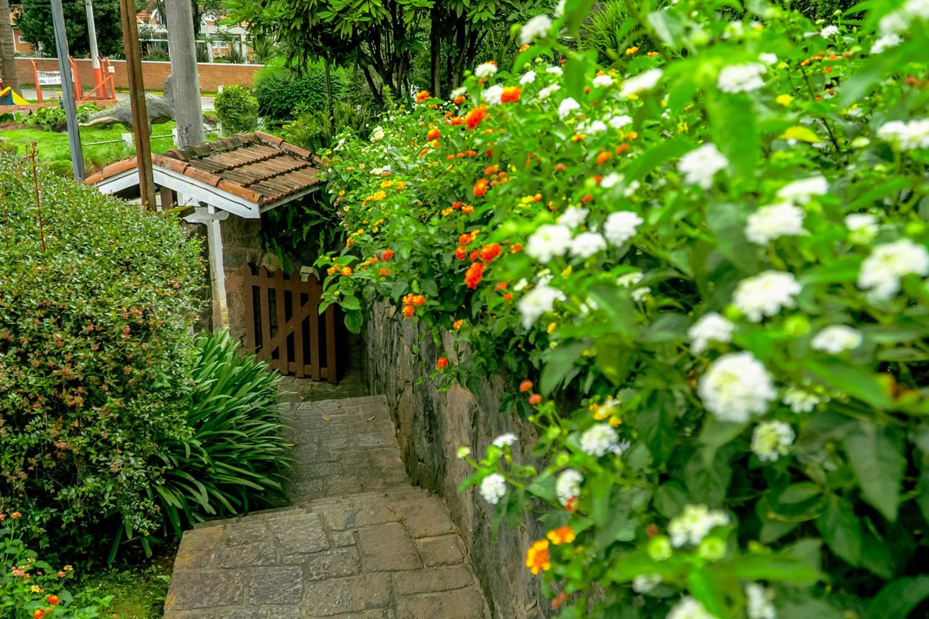 Natural landscape in VELINN Pousada Casa de Campos Capivari House