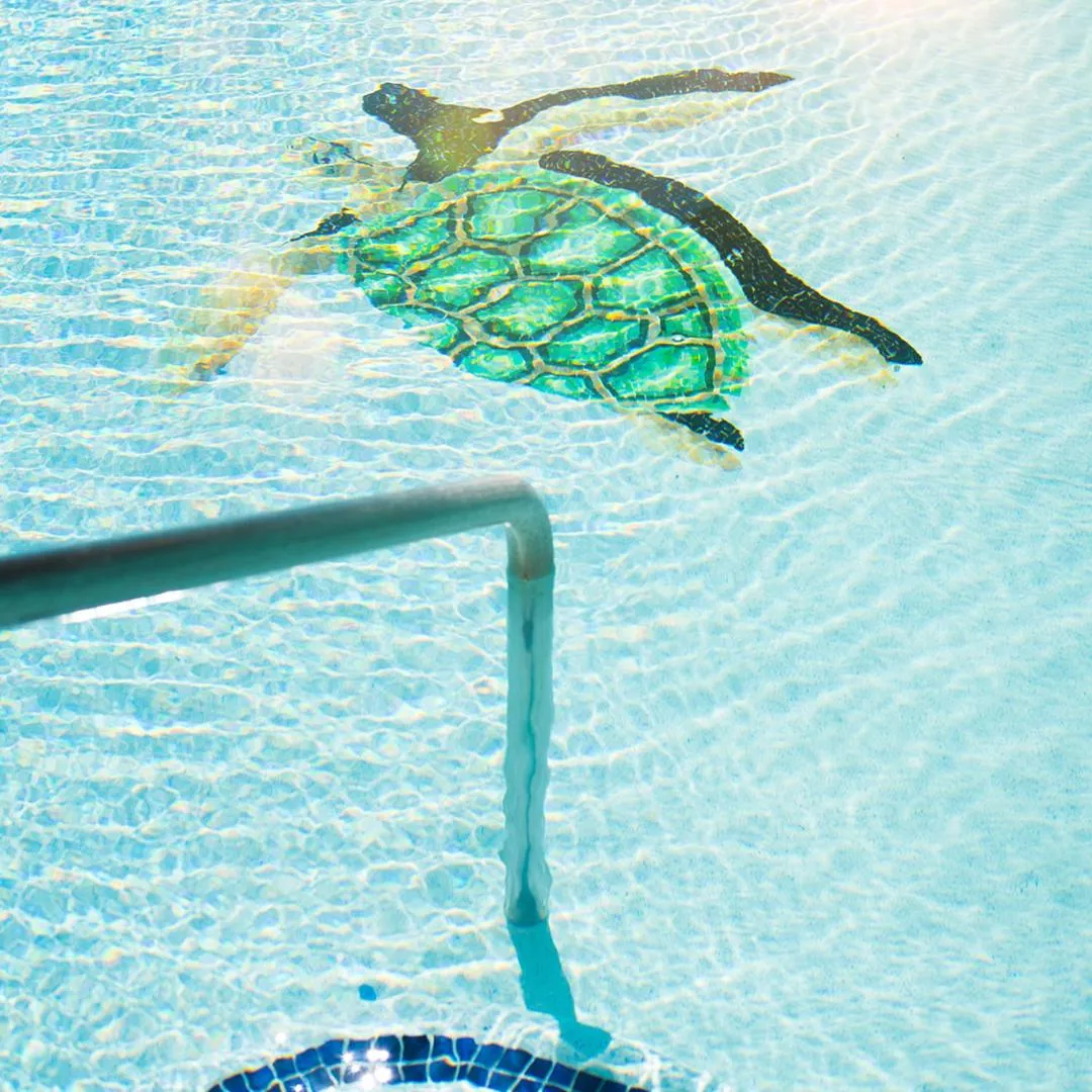 Swimming pool in Sea of Cortez Beach Club