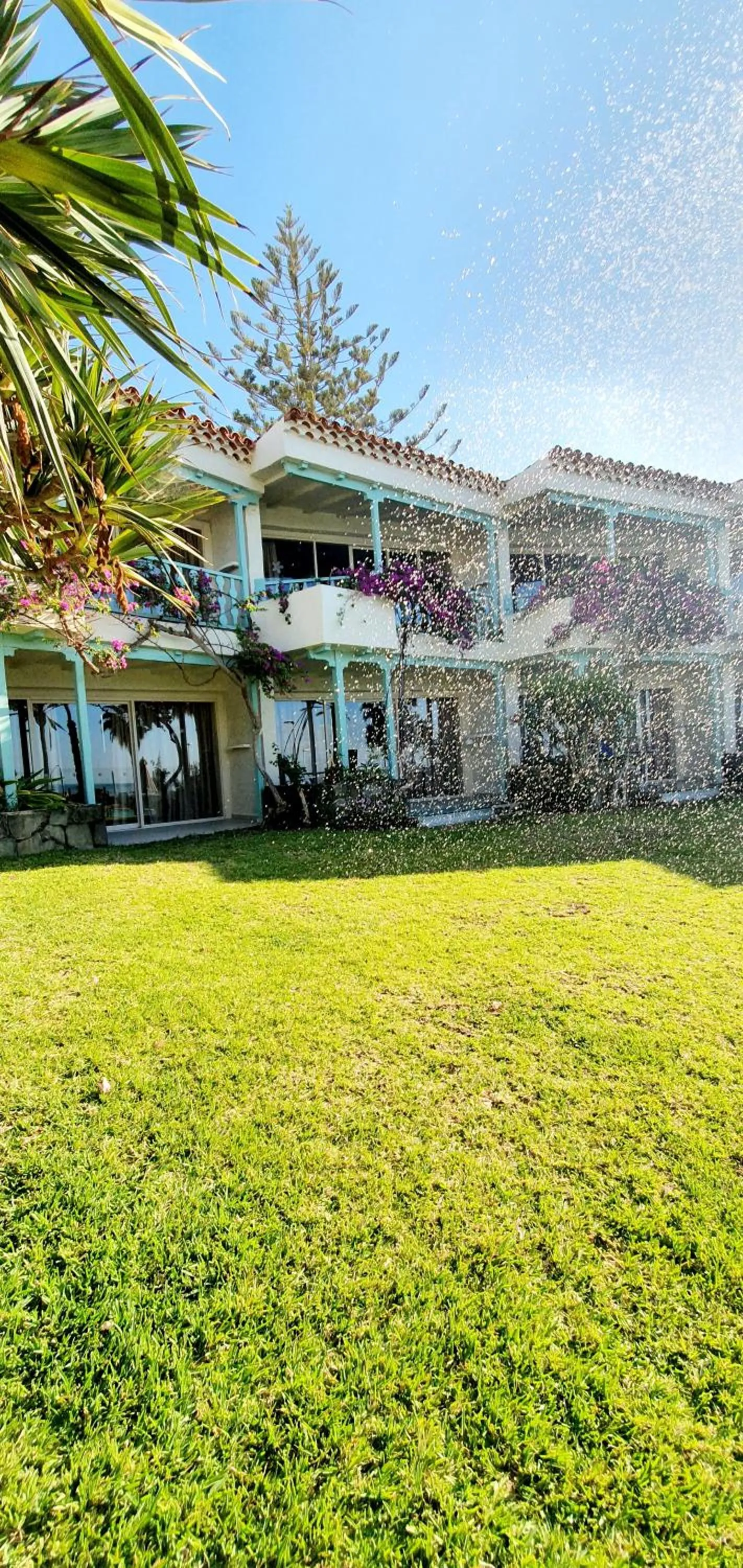 Garden in Apartamentos Casas Carmen - Adults Only