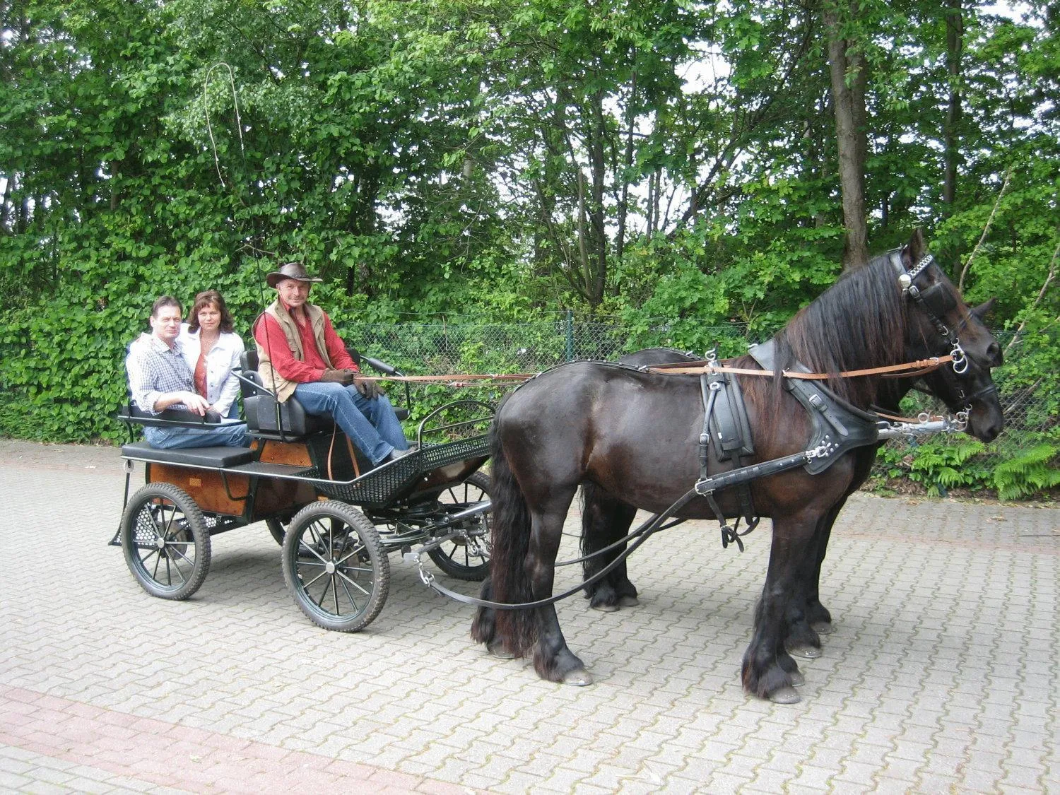 Activities in Hotel Graf Balduin