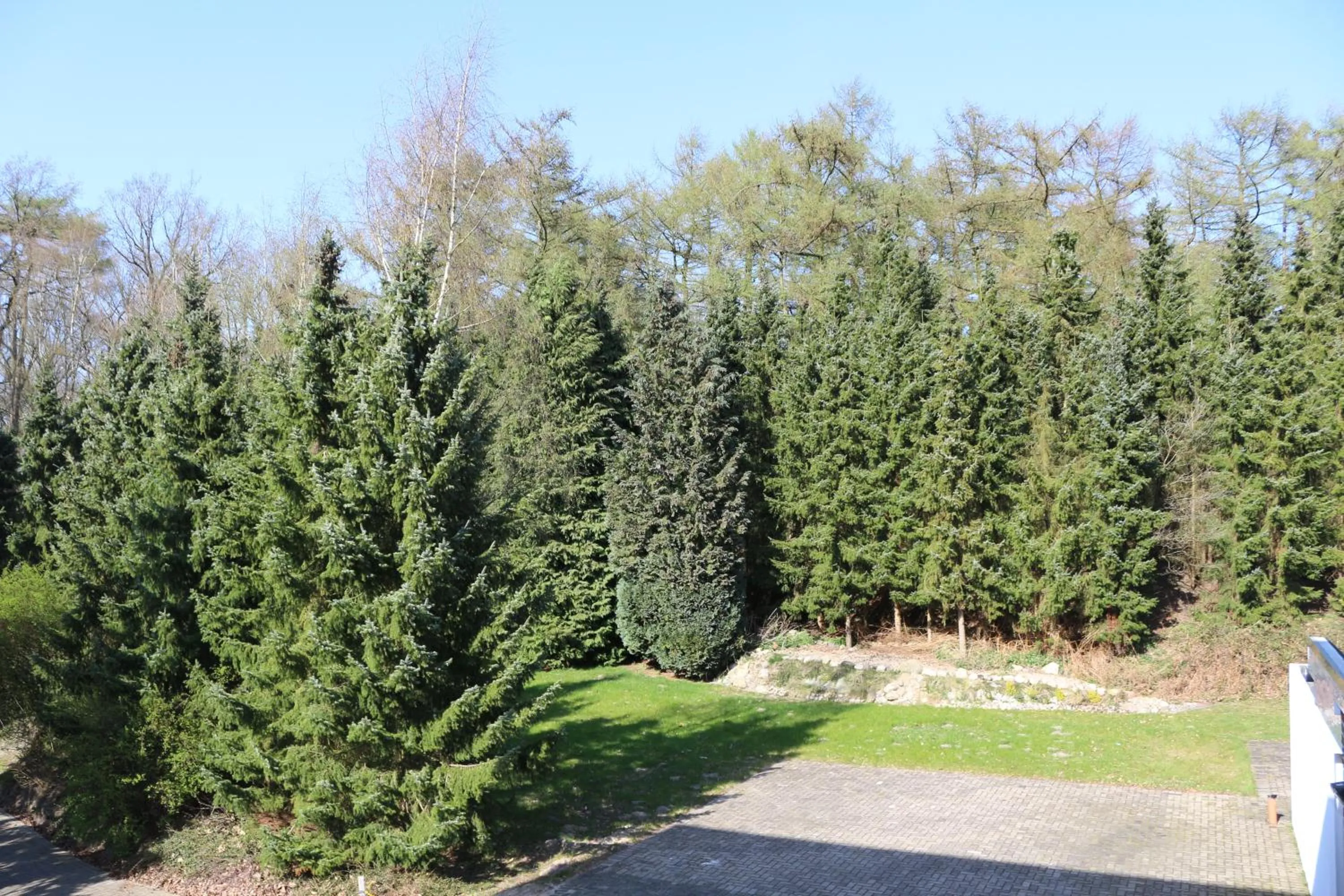 Natural landscape in Hotel Graf Balduin