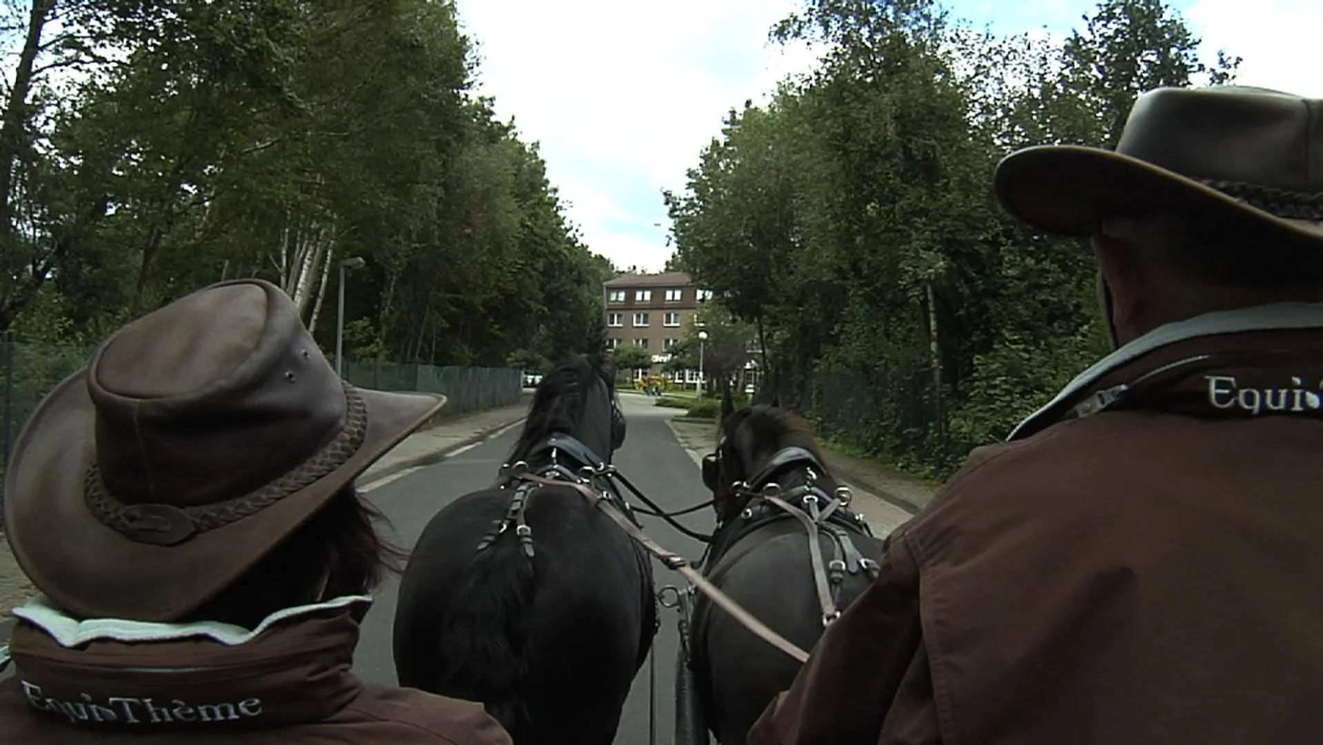 Natural landscape in Hotel Graf Balduin