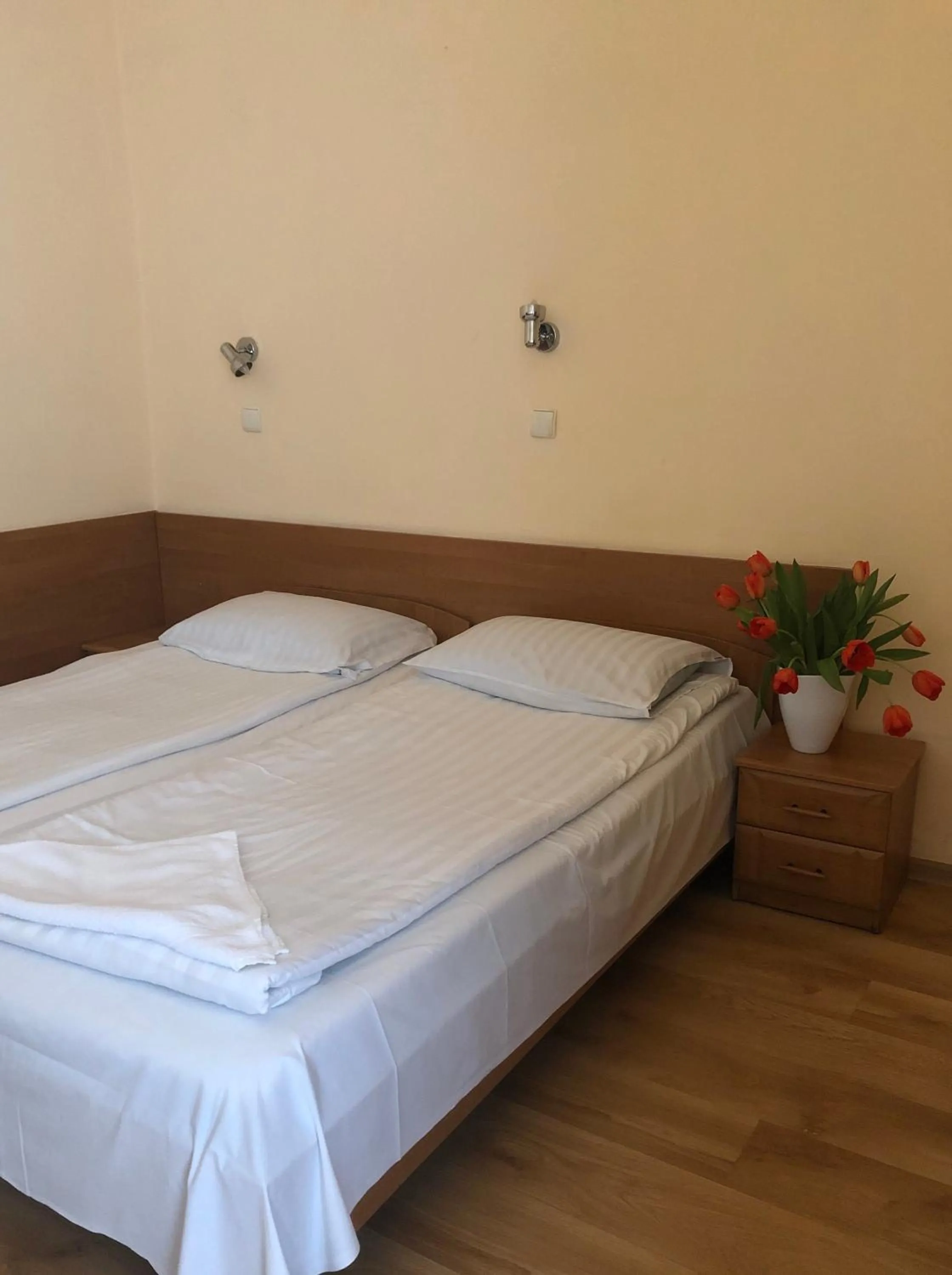 Photo of the whole room, Bed in Hotel Haga