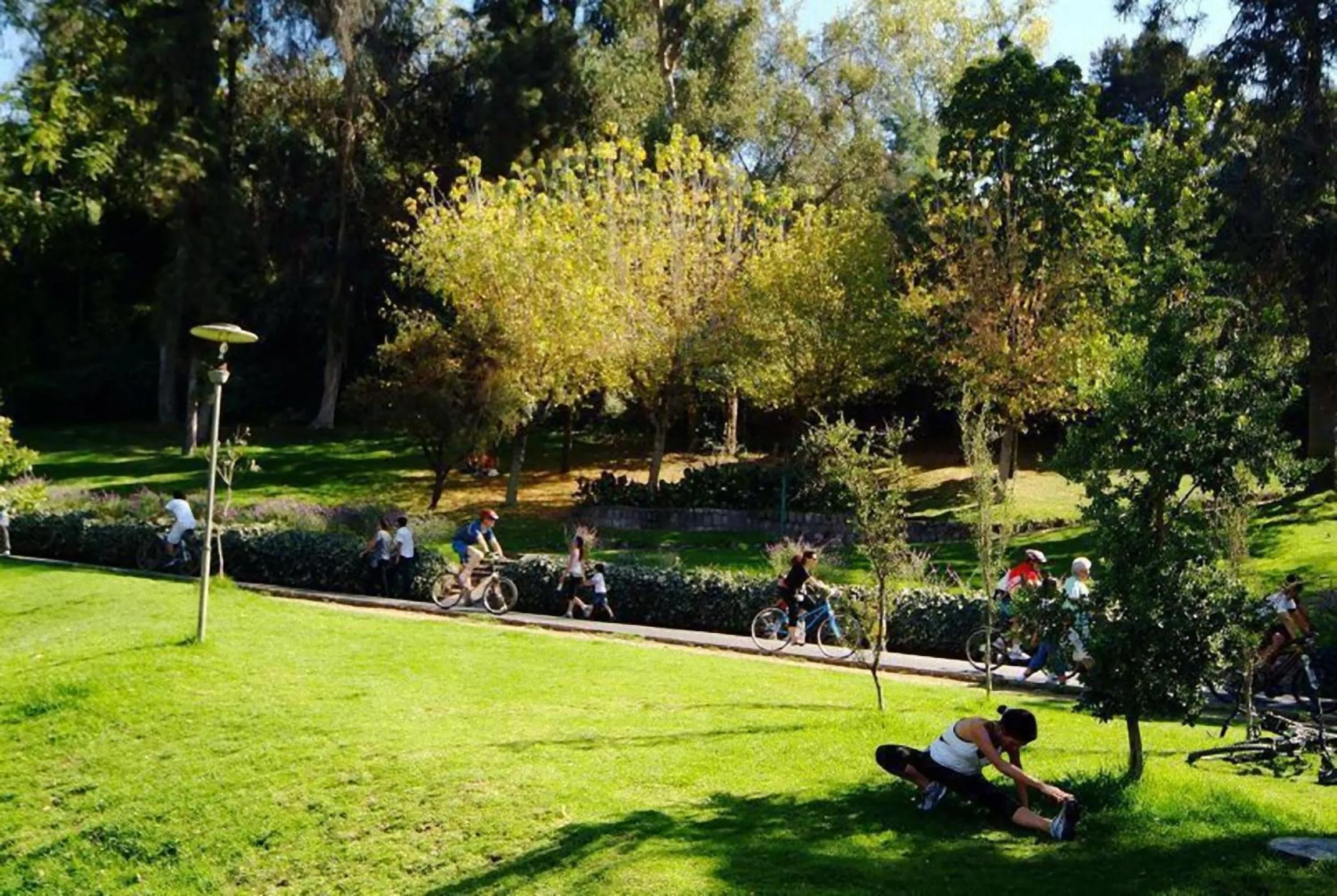 Area and facilities in Park Plaza Apart Hotel