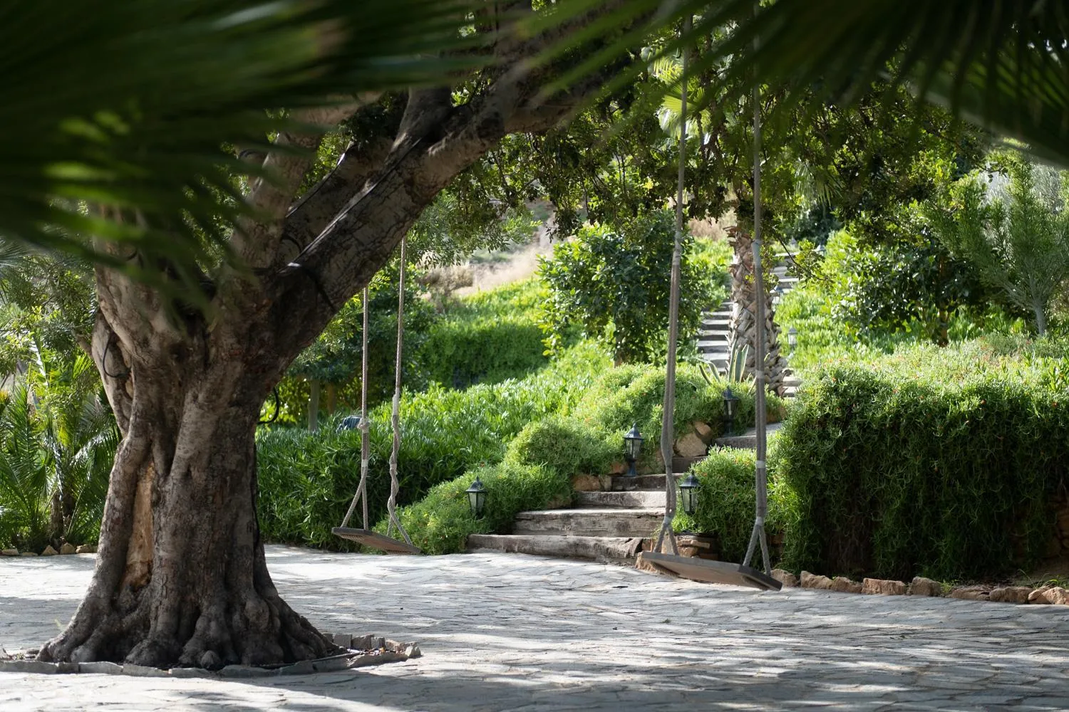 La Almendra y El Gitano