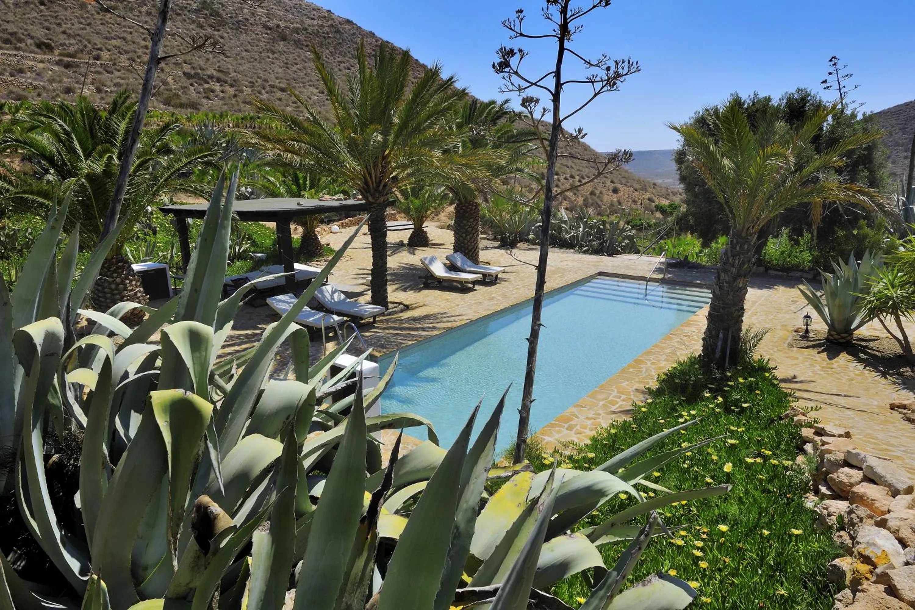 Garden in La Almendra y El Gitano