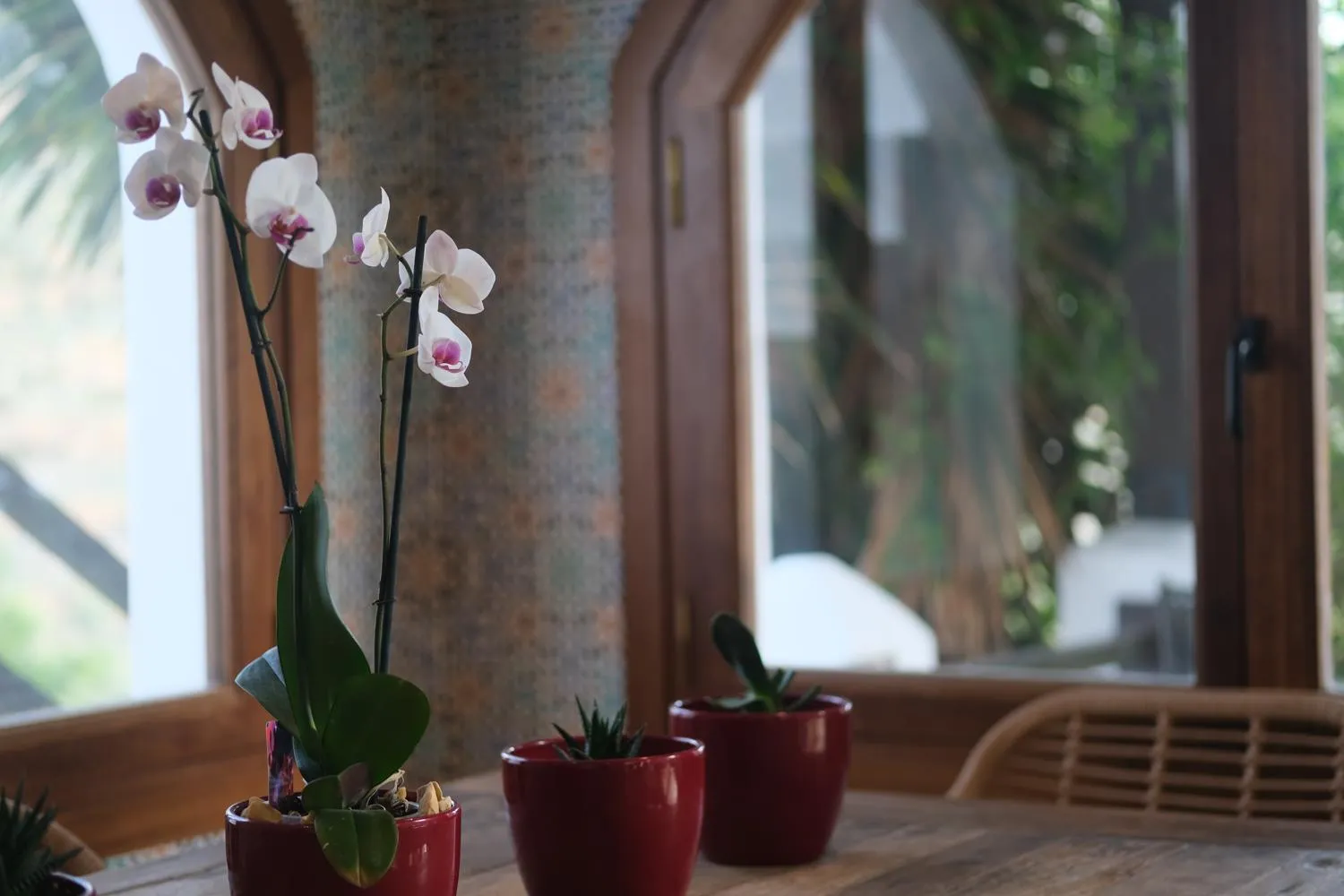 Lobby or reception in La Almendra y El Gitano