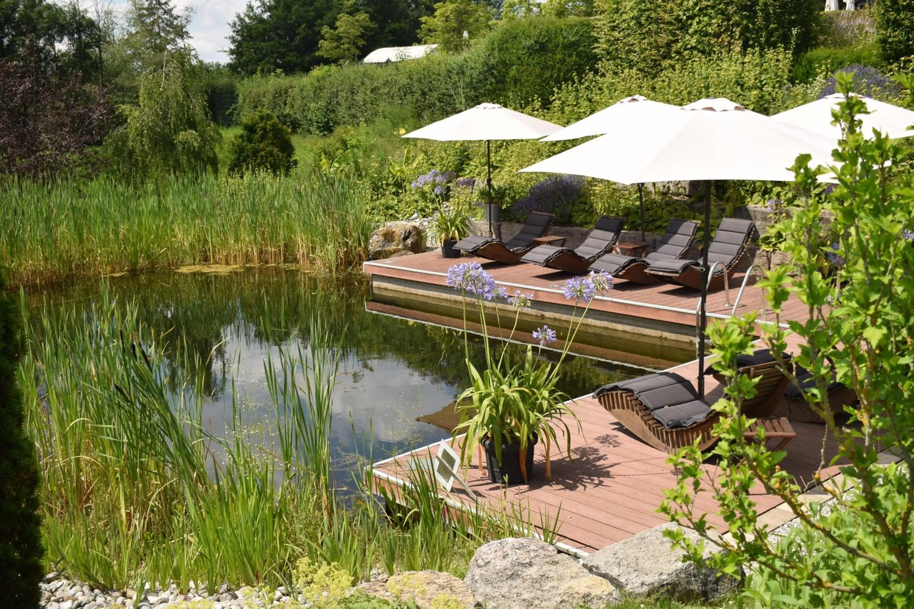 Swimming pool in Landhotel Rügheim