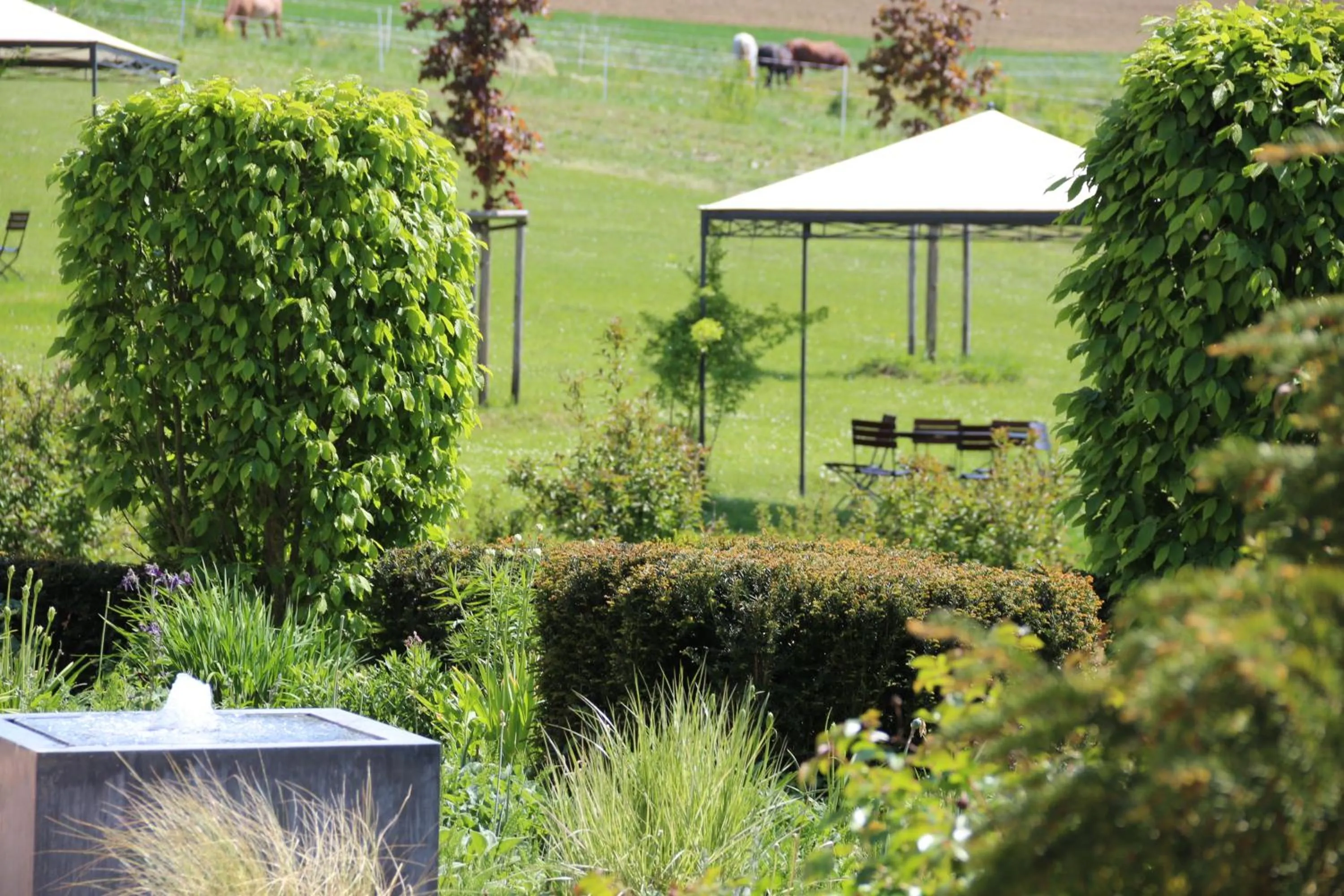 Natural landscape in Landhotel Rügheim