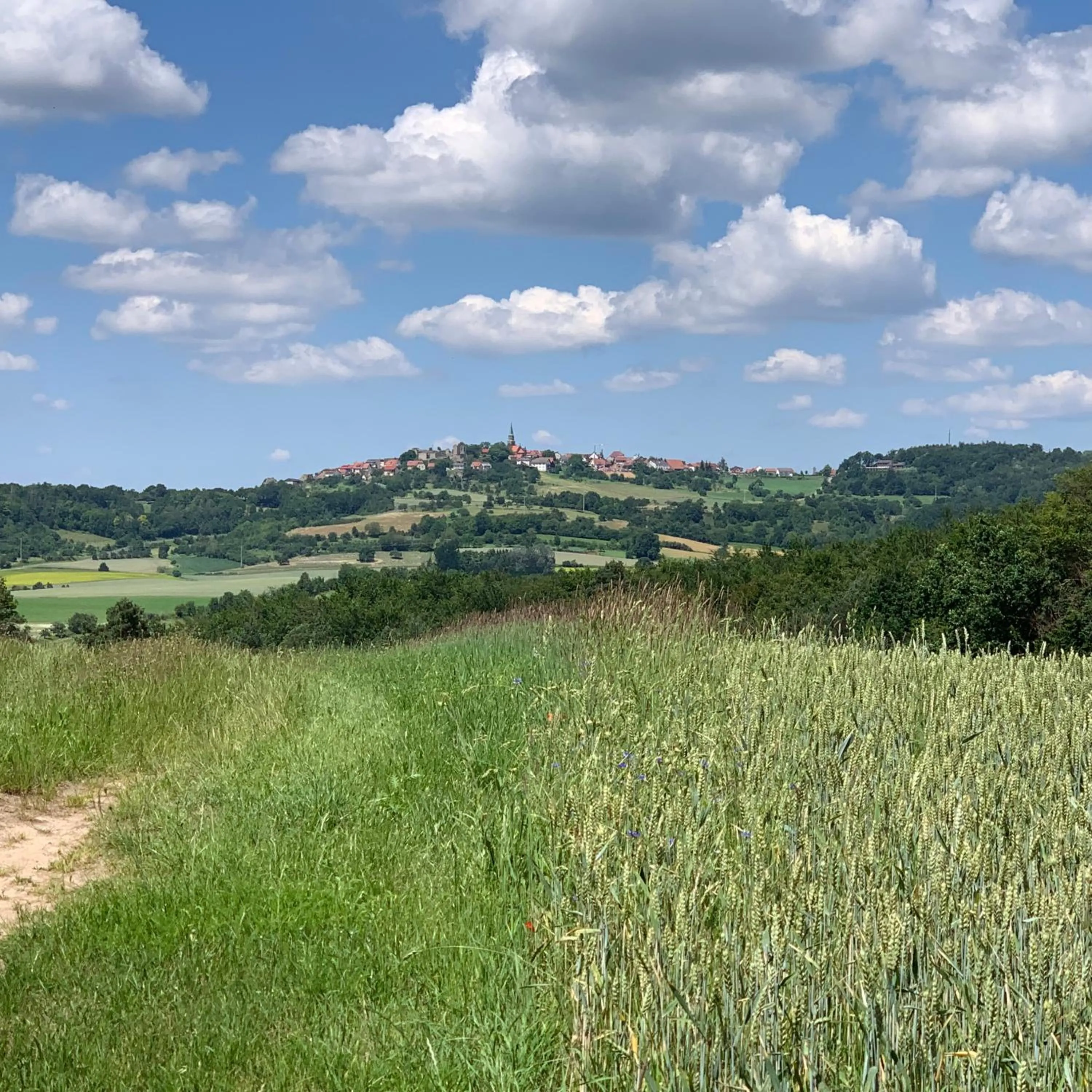 Nearby landmark in Landhotel Rügheim