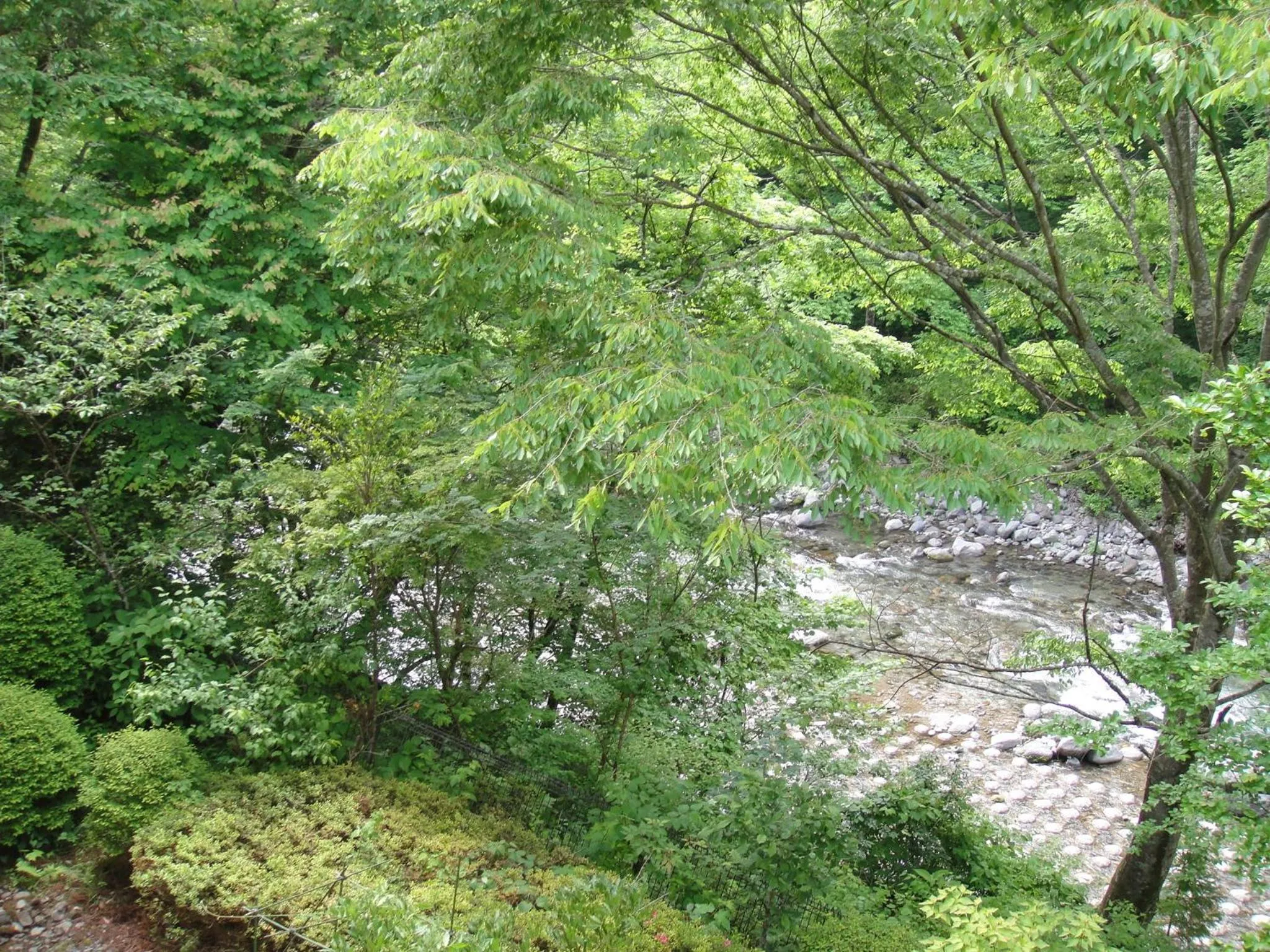 River view in Annex Turtle Hotori-An