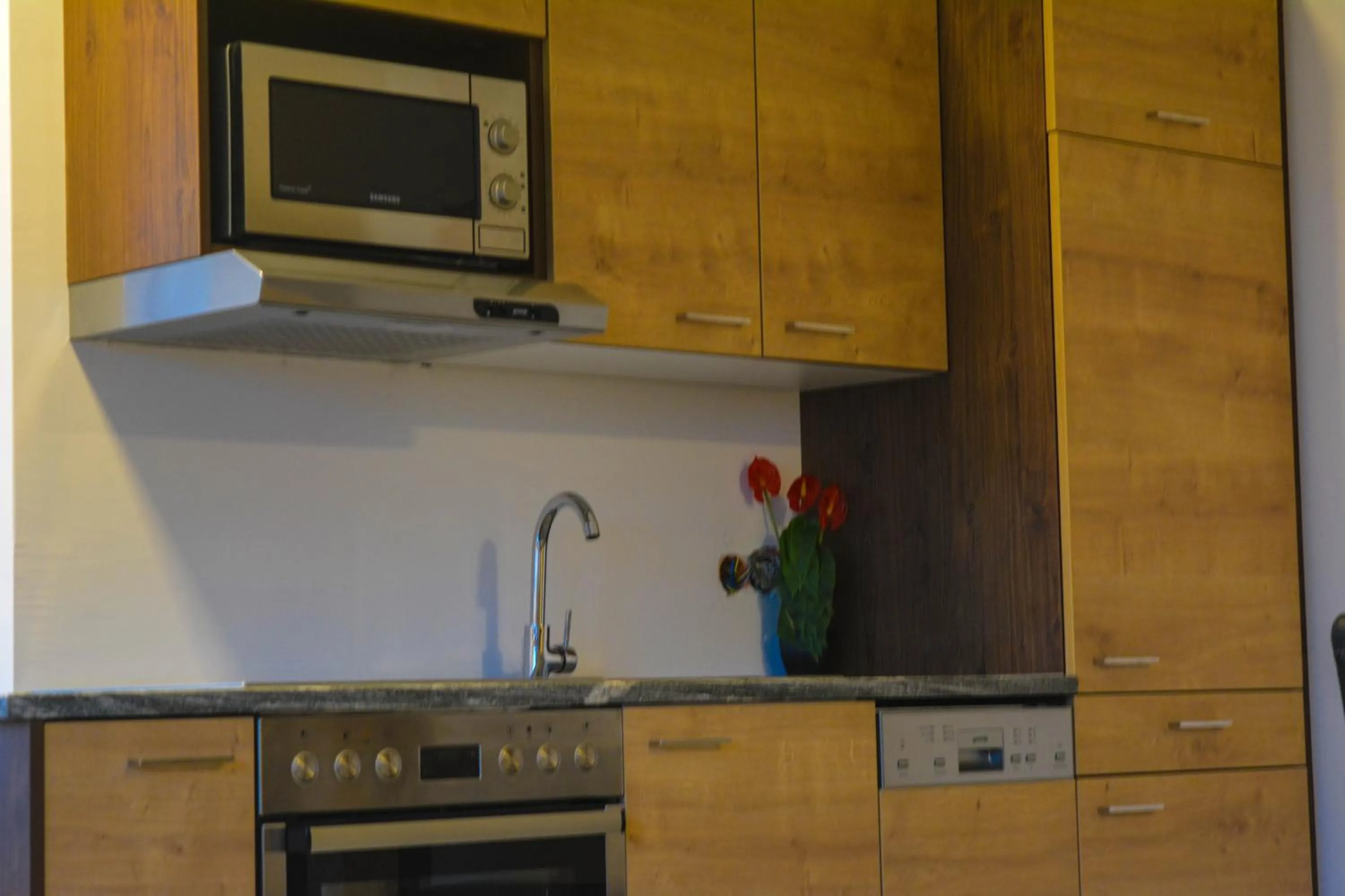 Kitchen or kitchenette in Wels Inn Hotel