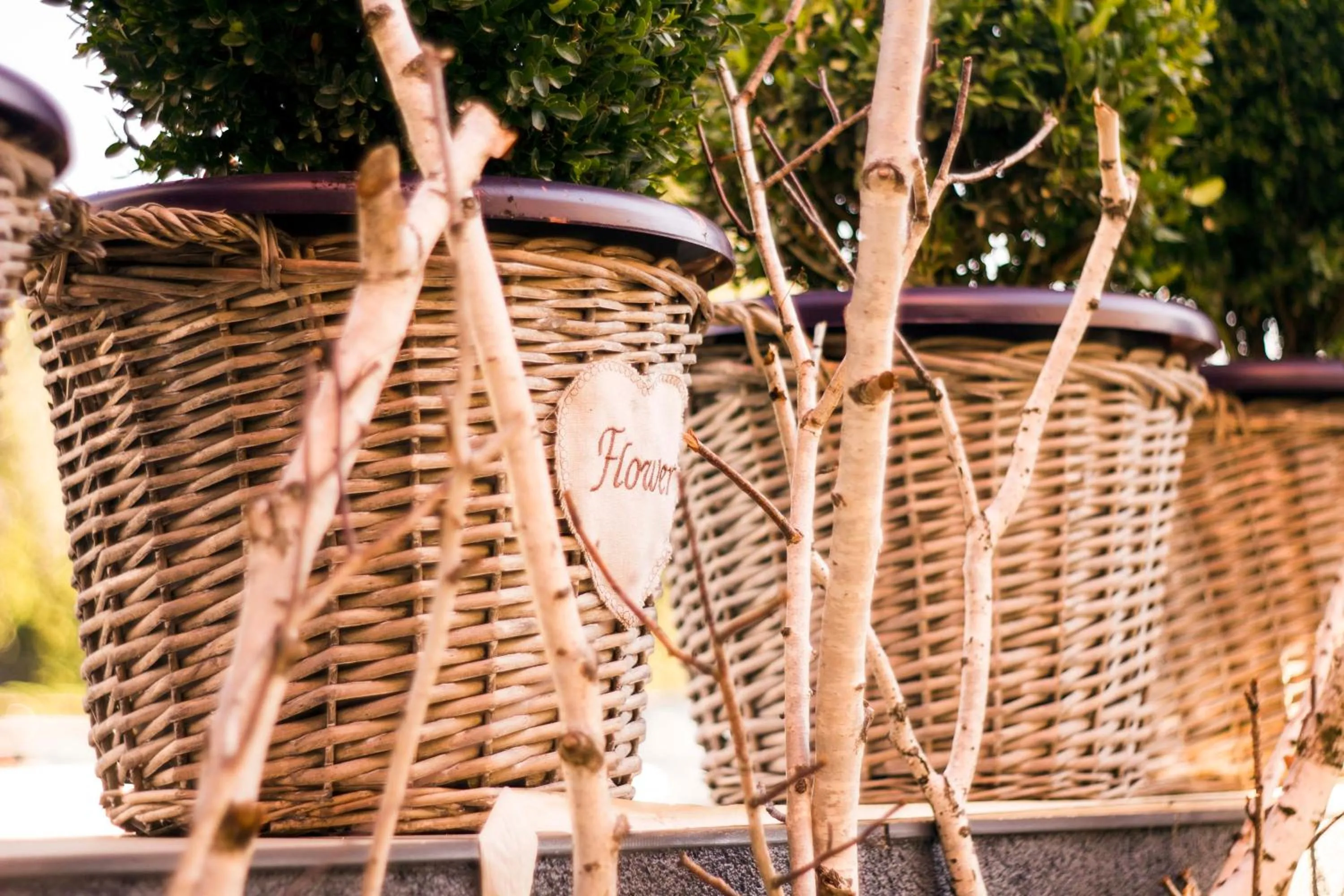 Decorative detail in Rooms Madison