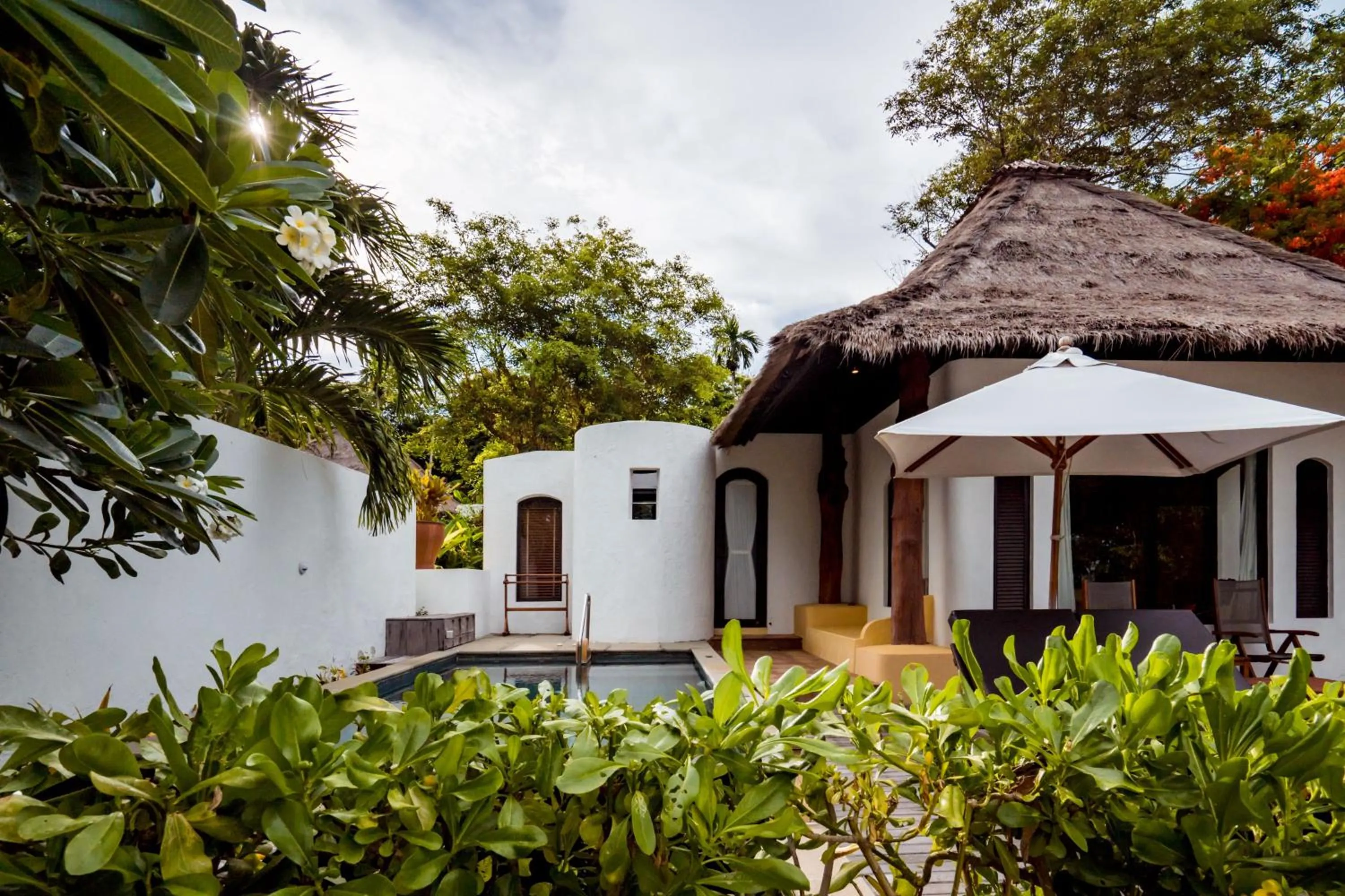 Property building in Paradee