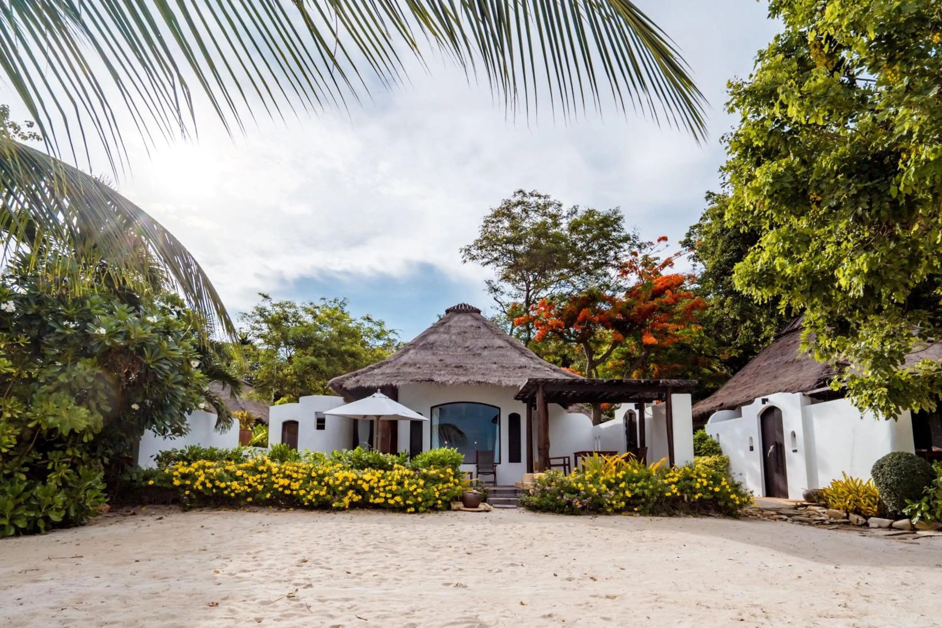 Property building in Paradee