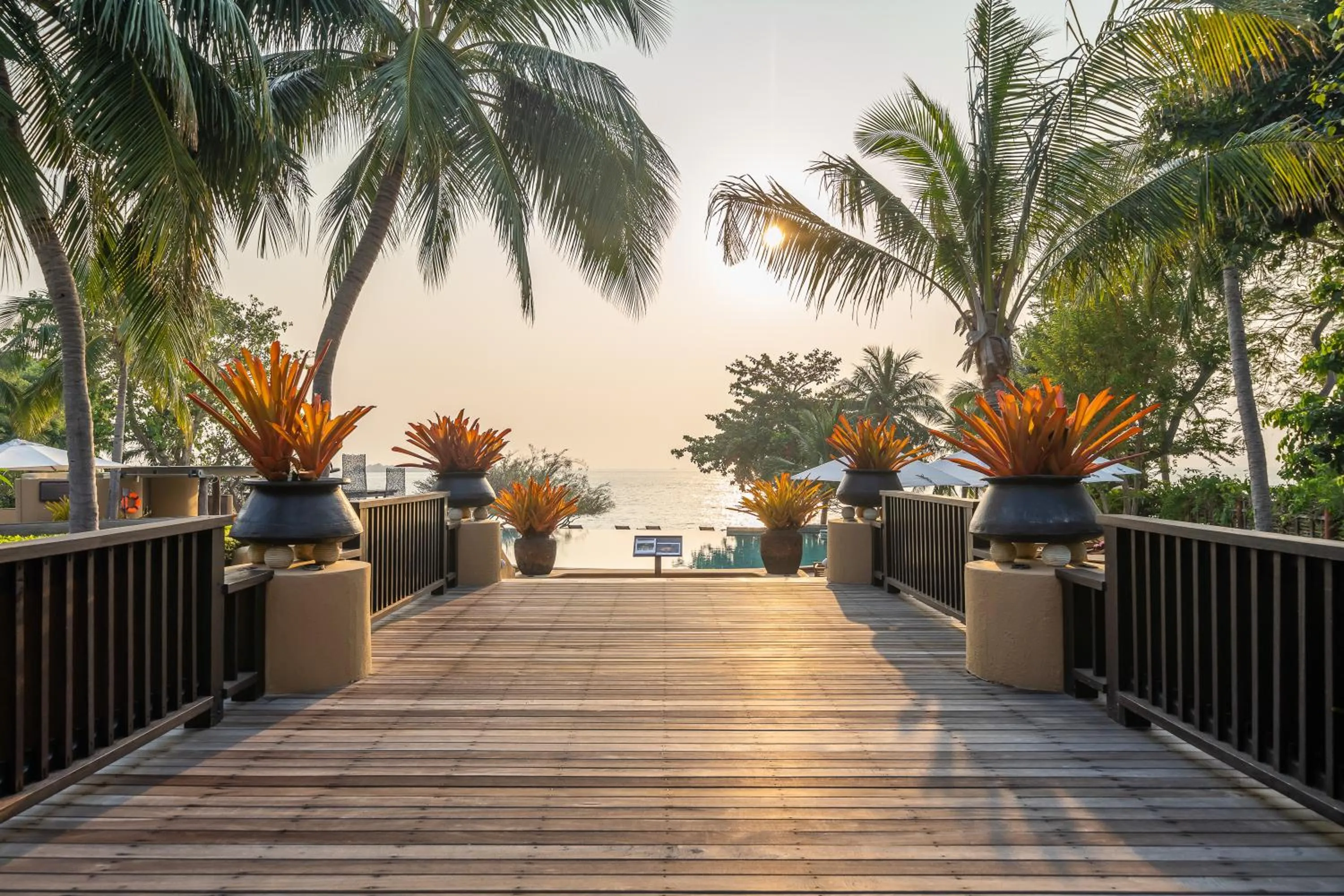 Swimming pool in Paradee