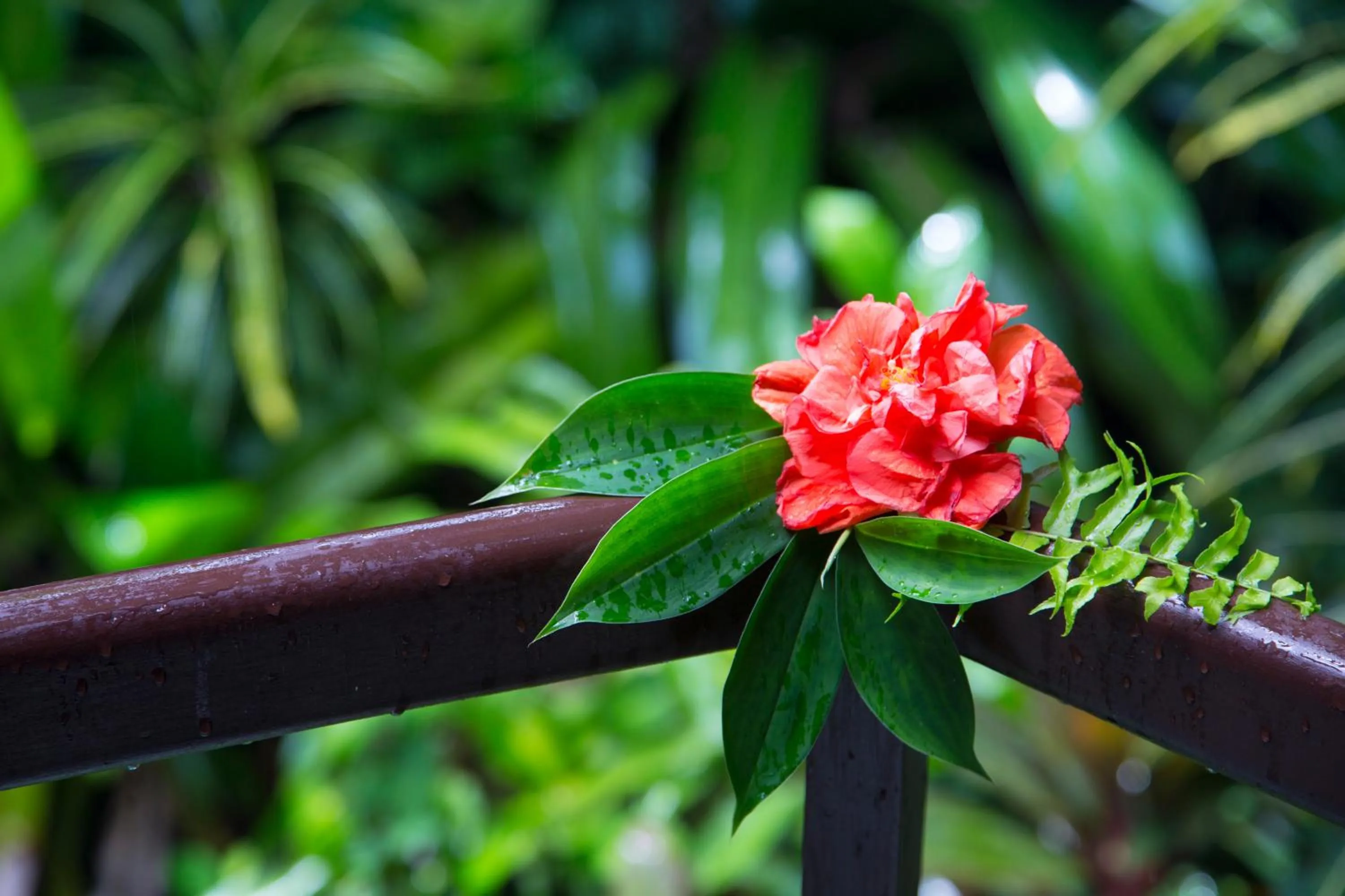Balcony/Terrace in Mandala Spa & Resort Villas