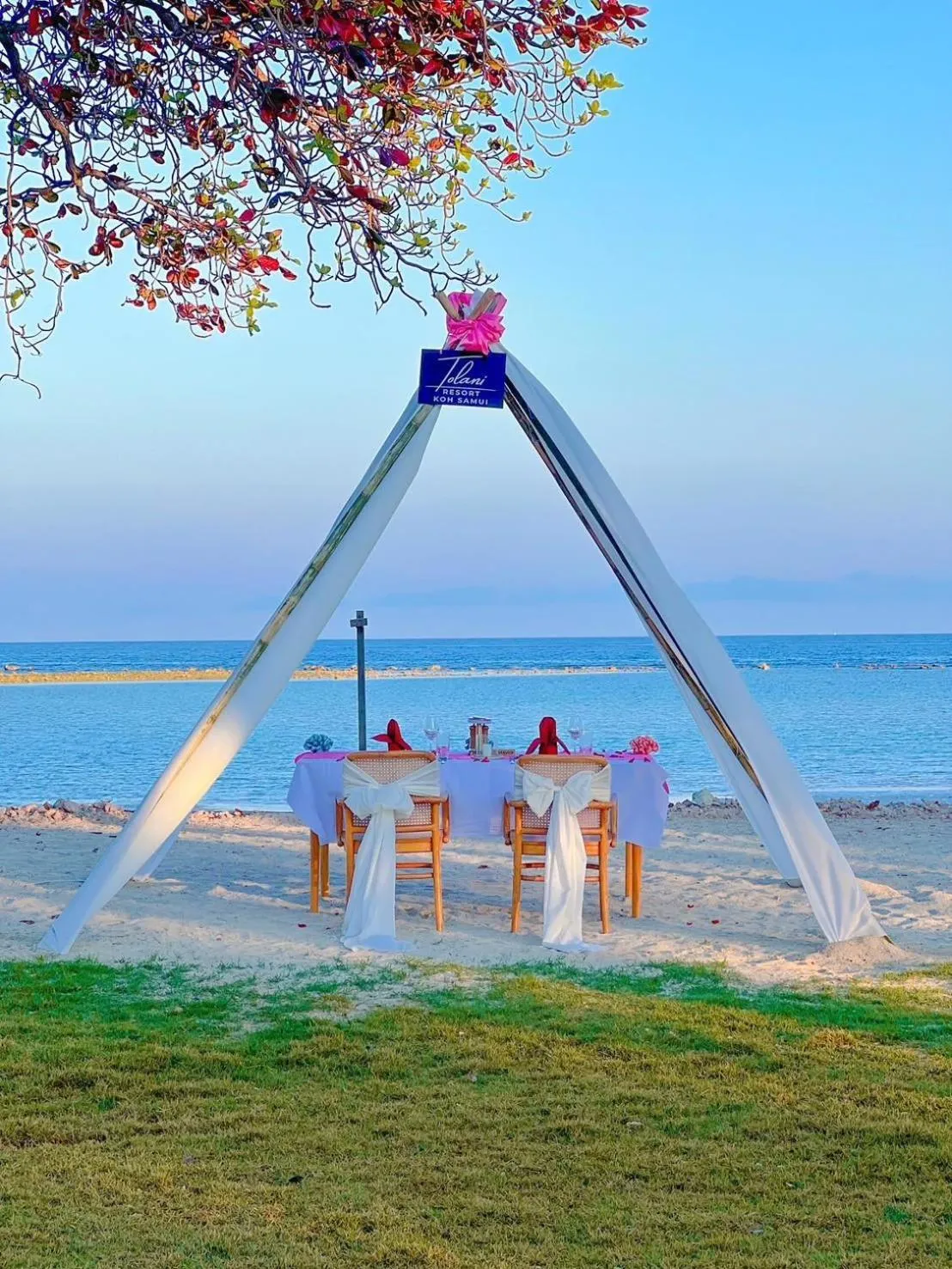 Restaurant/places to eat in Tolani Resort Koh Samui