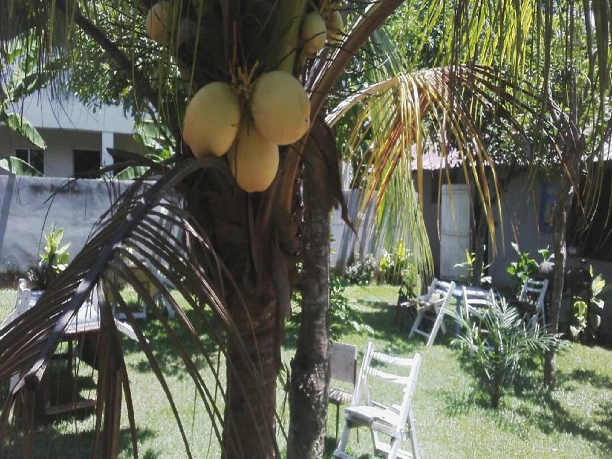 Patio in BB Tributary Hotel