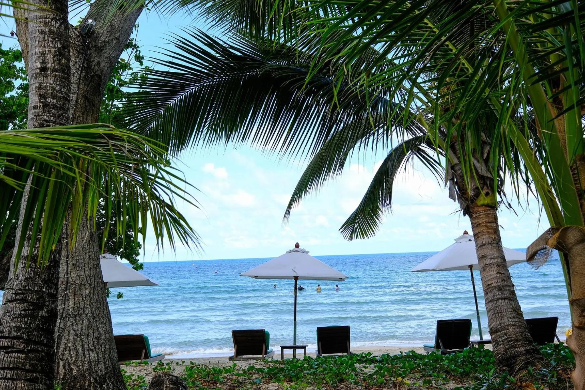 View (from property/room) in Ao Prao Resort