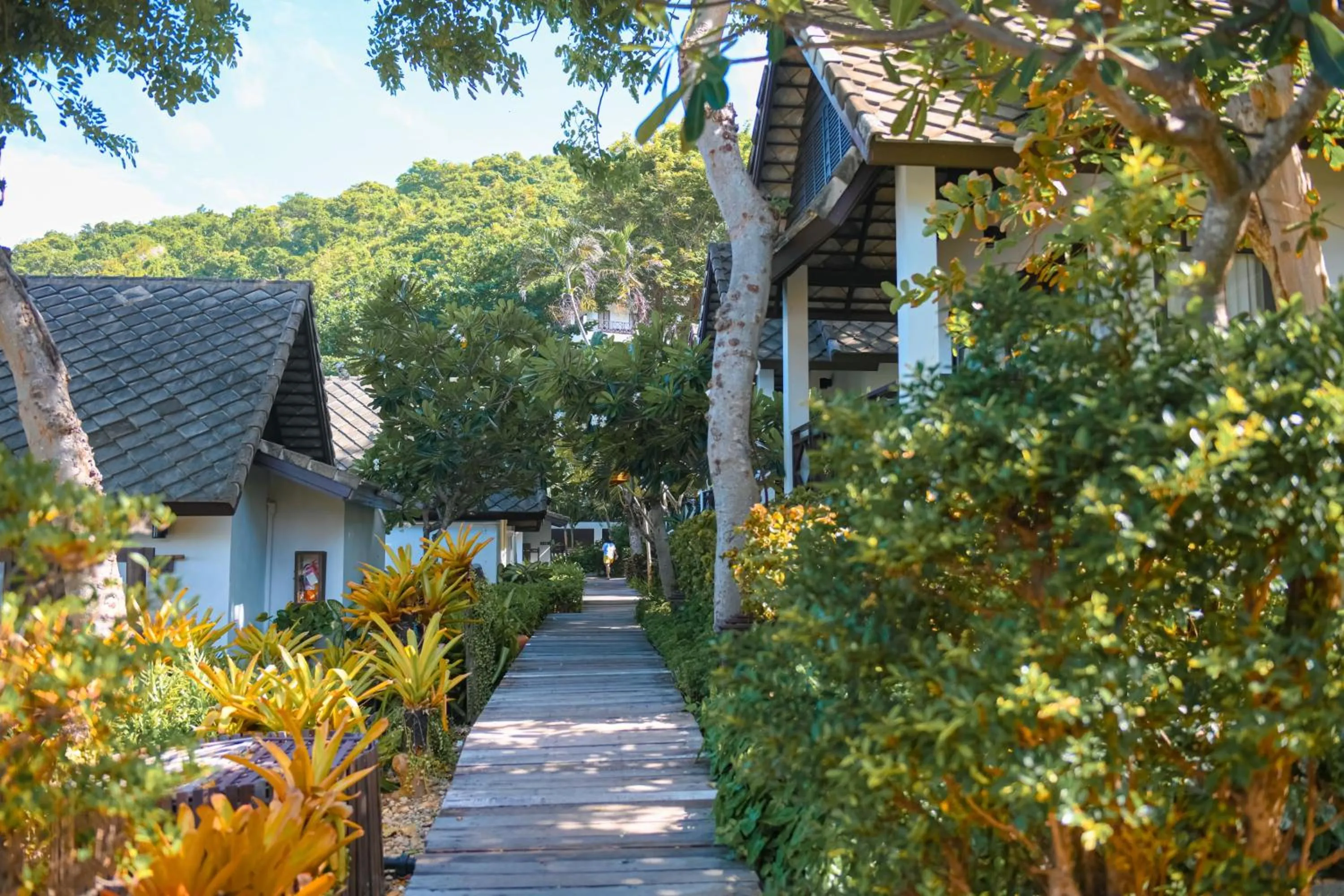 Property building in Ao Prao Resort